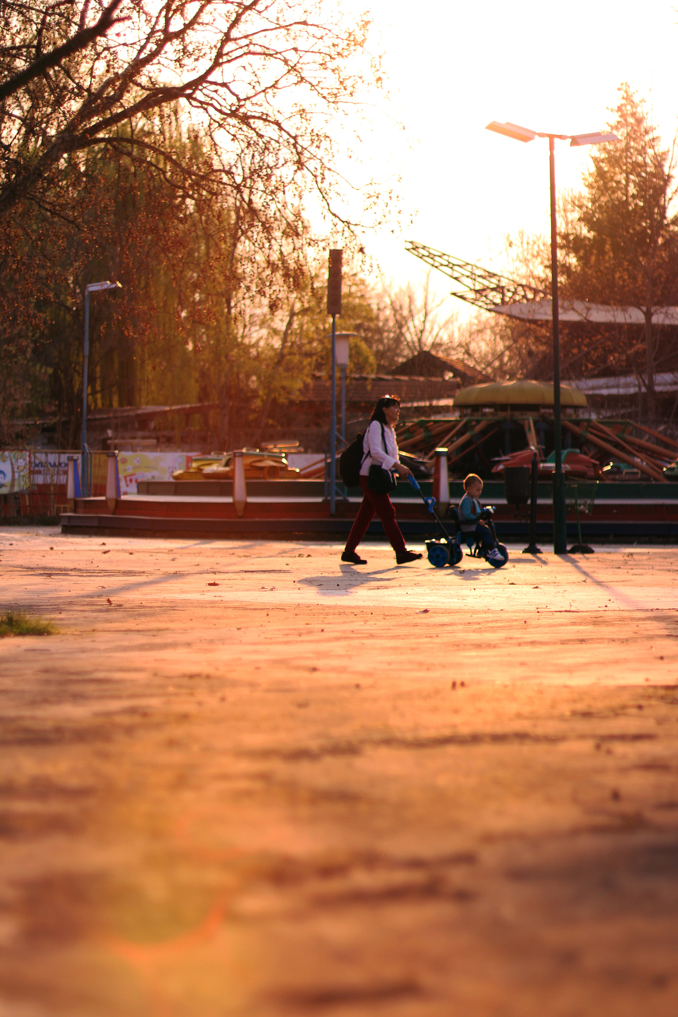 Canon EOS 700D (EOS Rebel T5i / EOS Kiss X7i) + Canon EF 50mm F1.4 USM sample photo. Spring sunset pt.2 photography