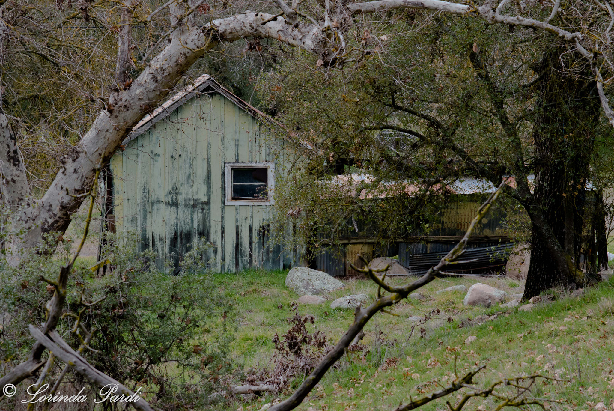 Nikon D5500 sample photo. Aqua shed photography