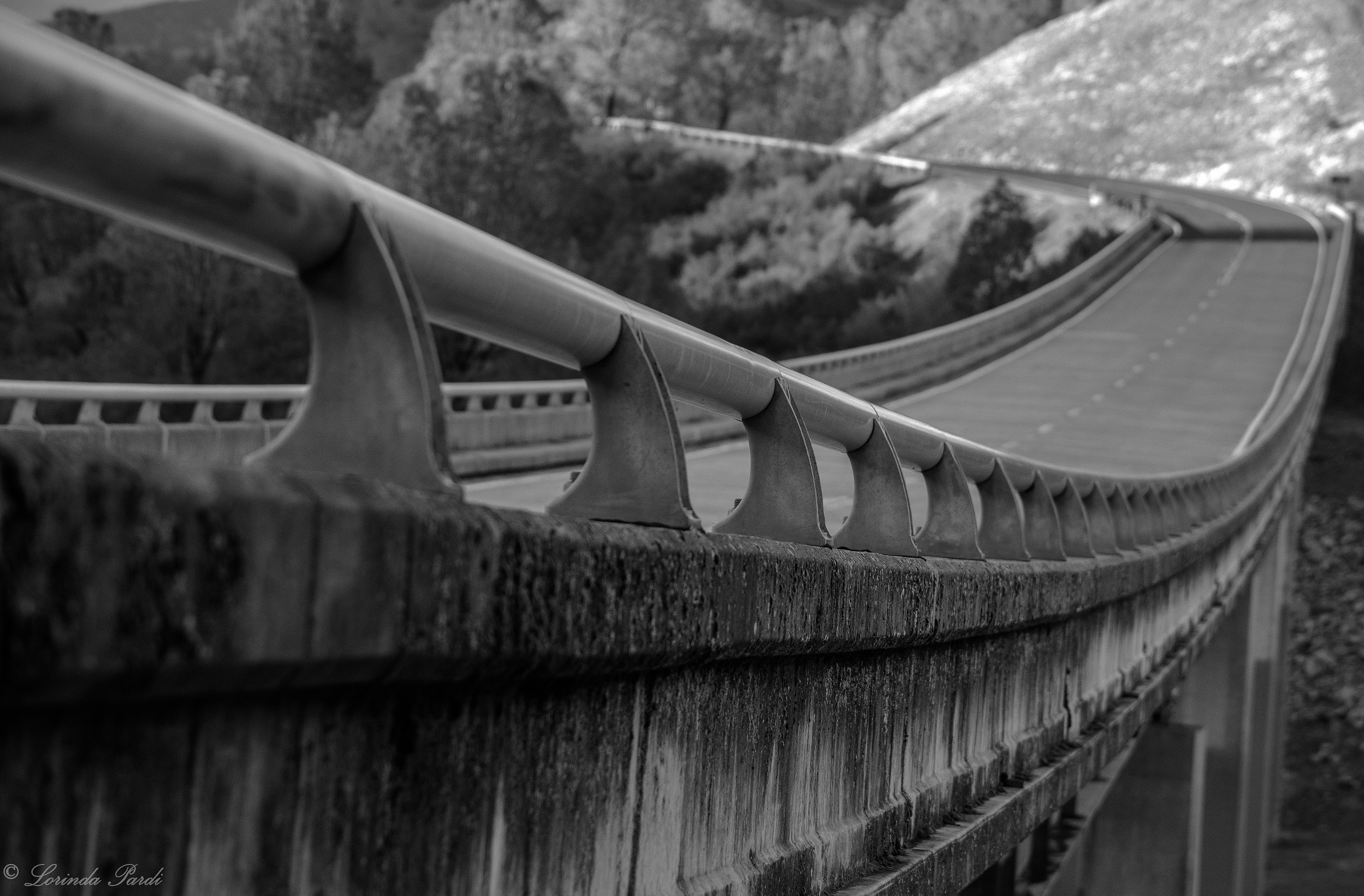Nikon D5500 sample photo. Bagby bridge close lp photography