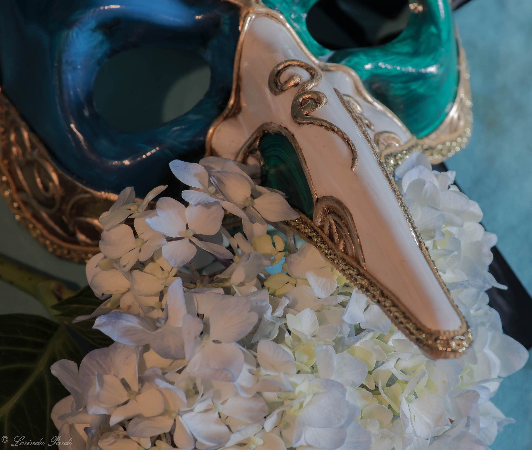 Nikon D5500 sample photo. Mardi gras mask photography