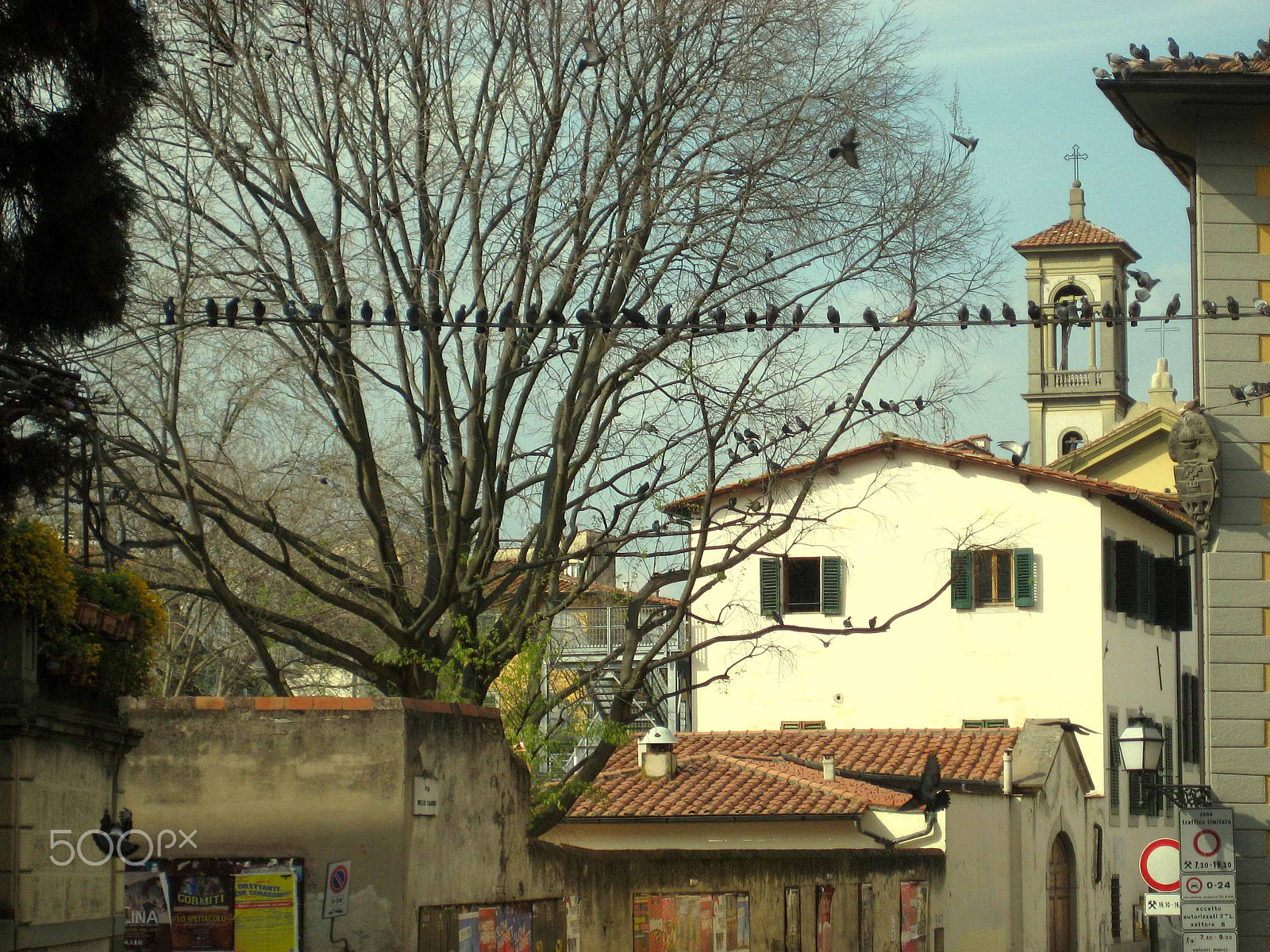 Canon POWERSHOT SD1000 sample photo. Backstreets of florence photography