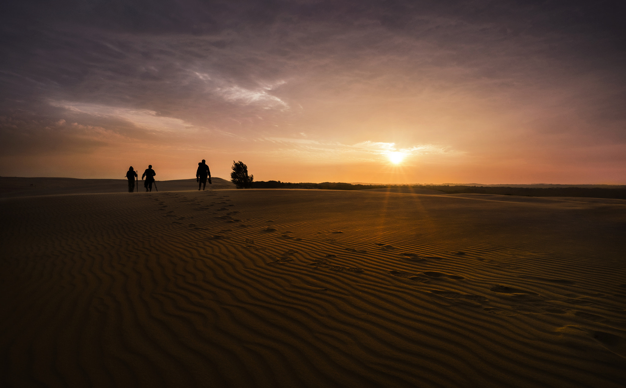 ZEISS Touit 12mm F2.8 sample photo. Greeting the michigan sun photography