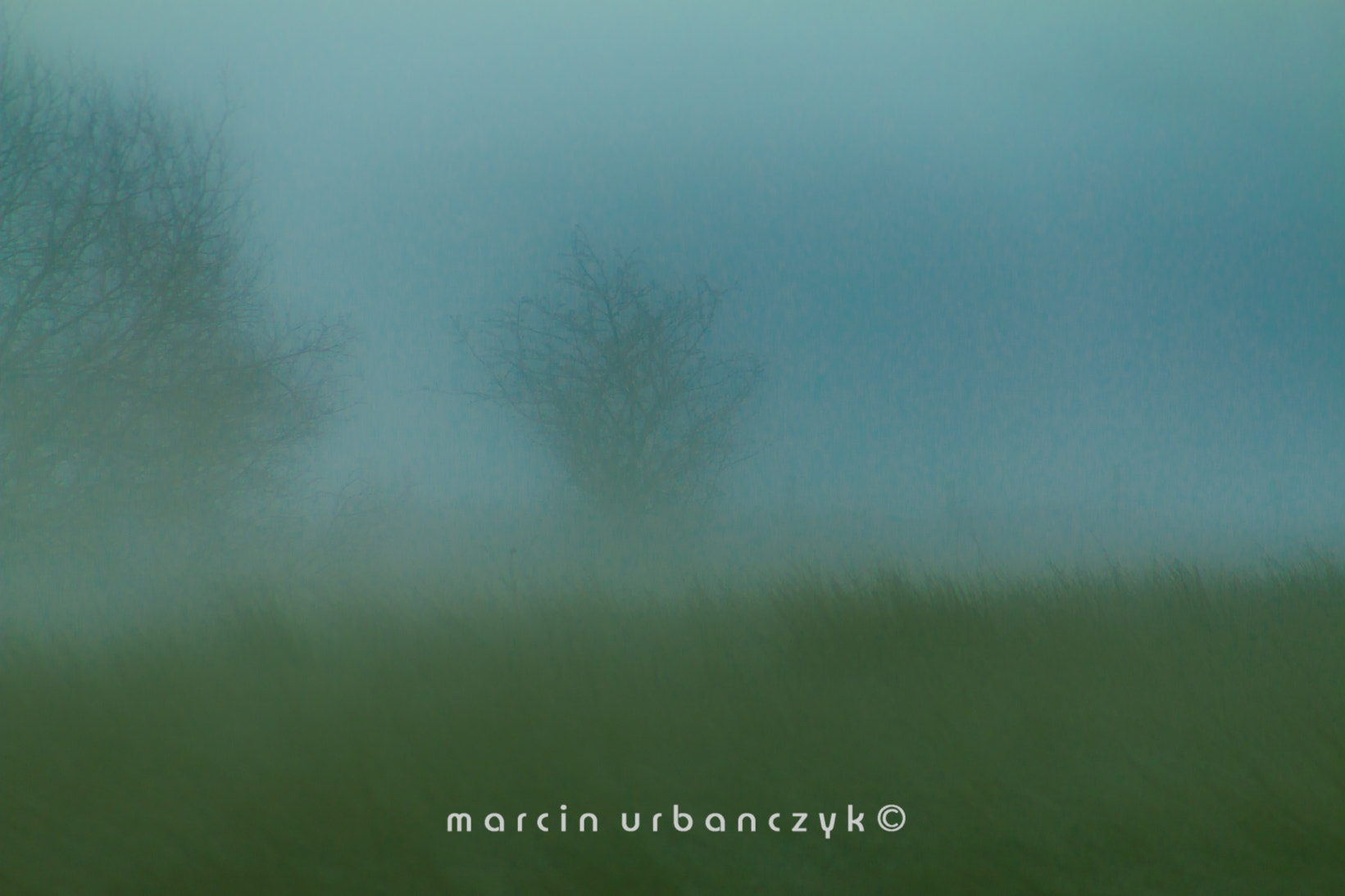 Canon EOS 70D sample photo. Misty photography