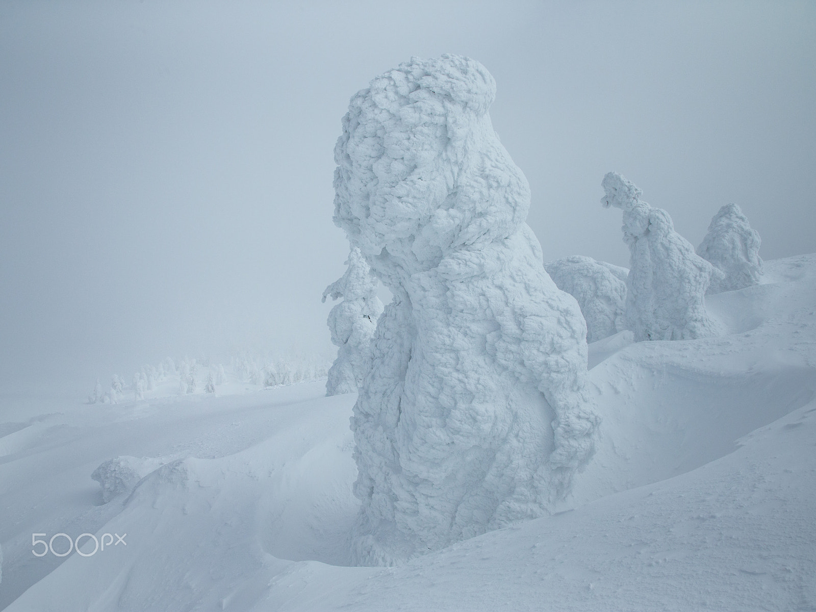 Canon EOS-1D X + Canon EF 24-105mm F4L IS USM sample photo. Snow monster photography