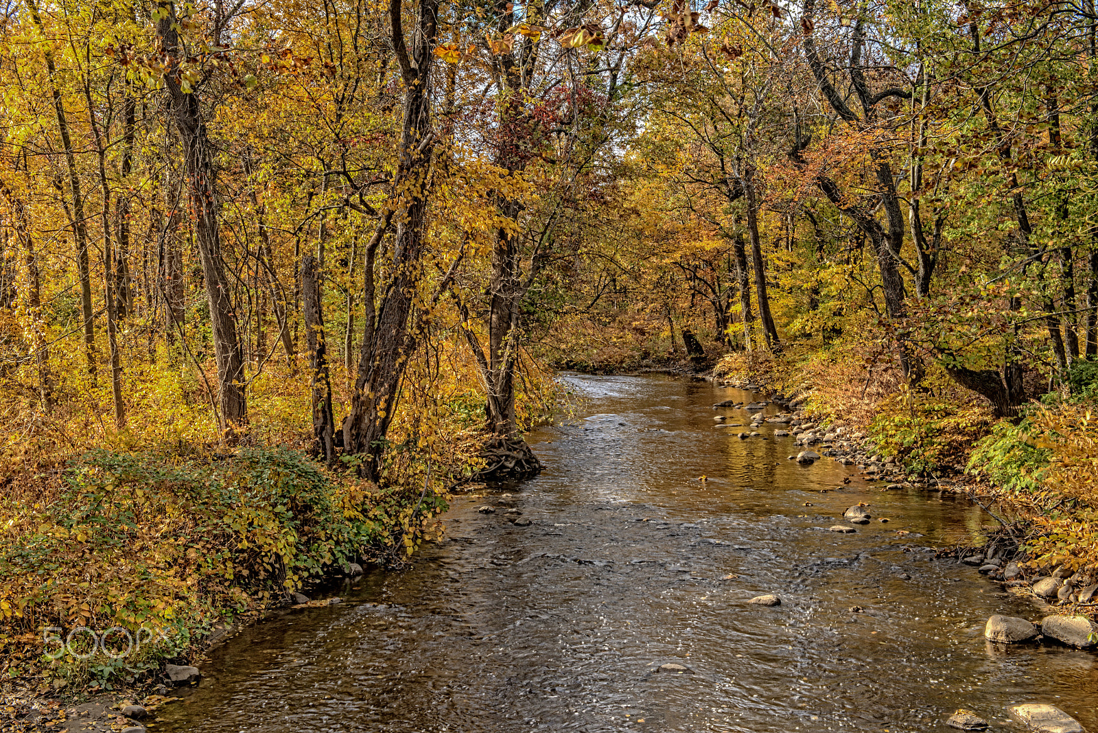 Nikon AF-S Nikkor 24-70mm F2.8G ED sample photo. Whippany river in cedar knolls in fall photography
