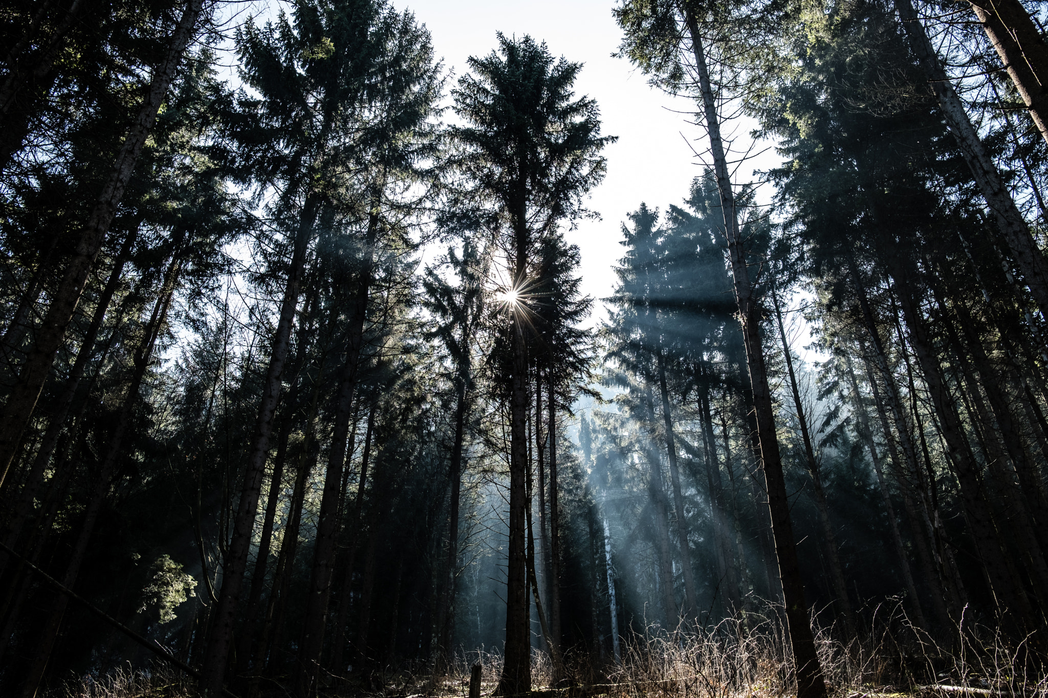 Fujifilm X-T20 + Fujifilm XF 23mm F2 R WR sample photo. Belchenflue | ch photography