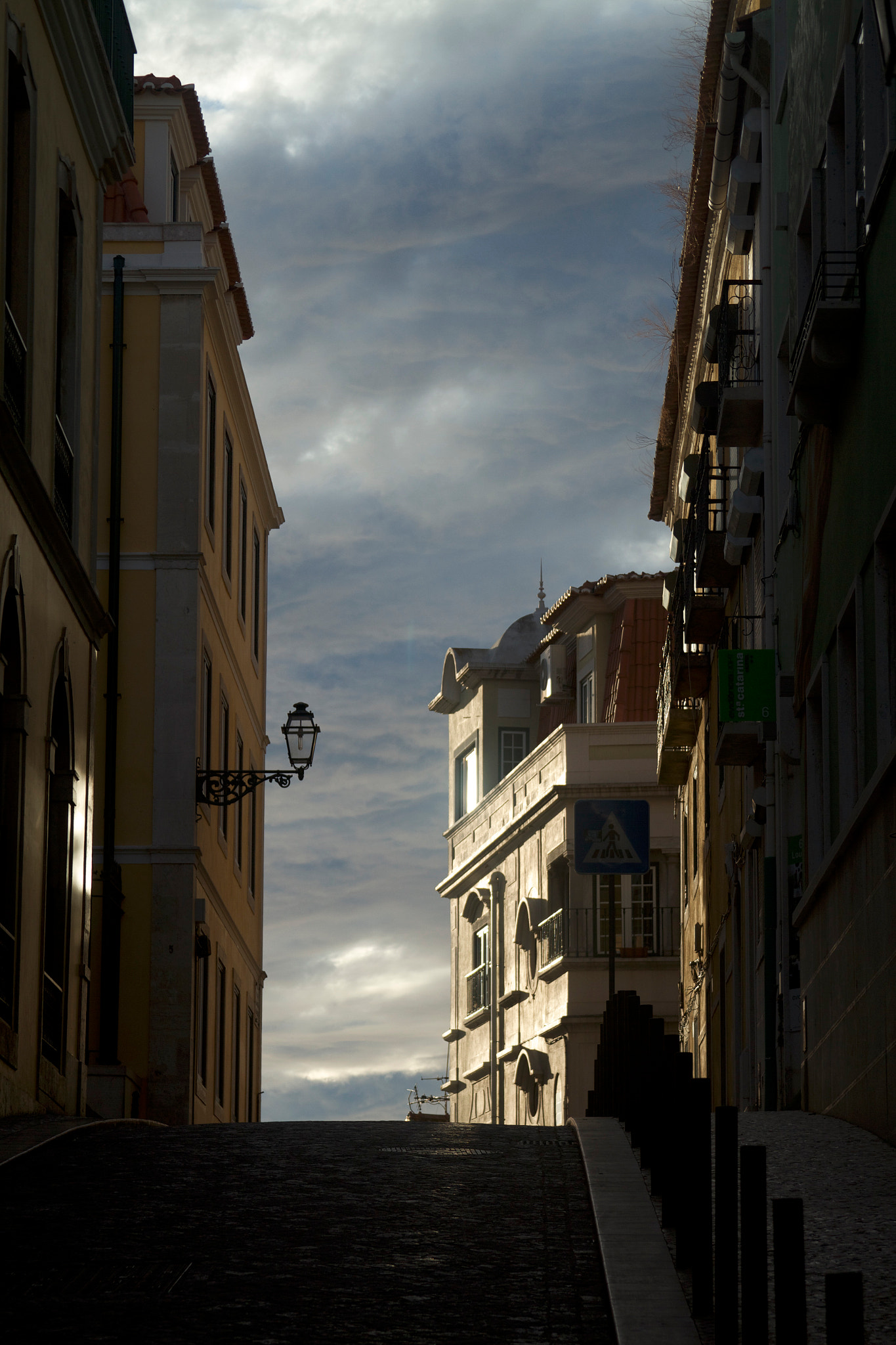 Canon EF 28-135mm F3.5-5.6 IS USM sample photo. Facing the sun photography