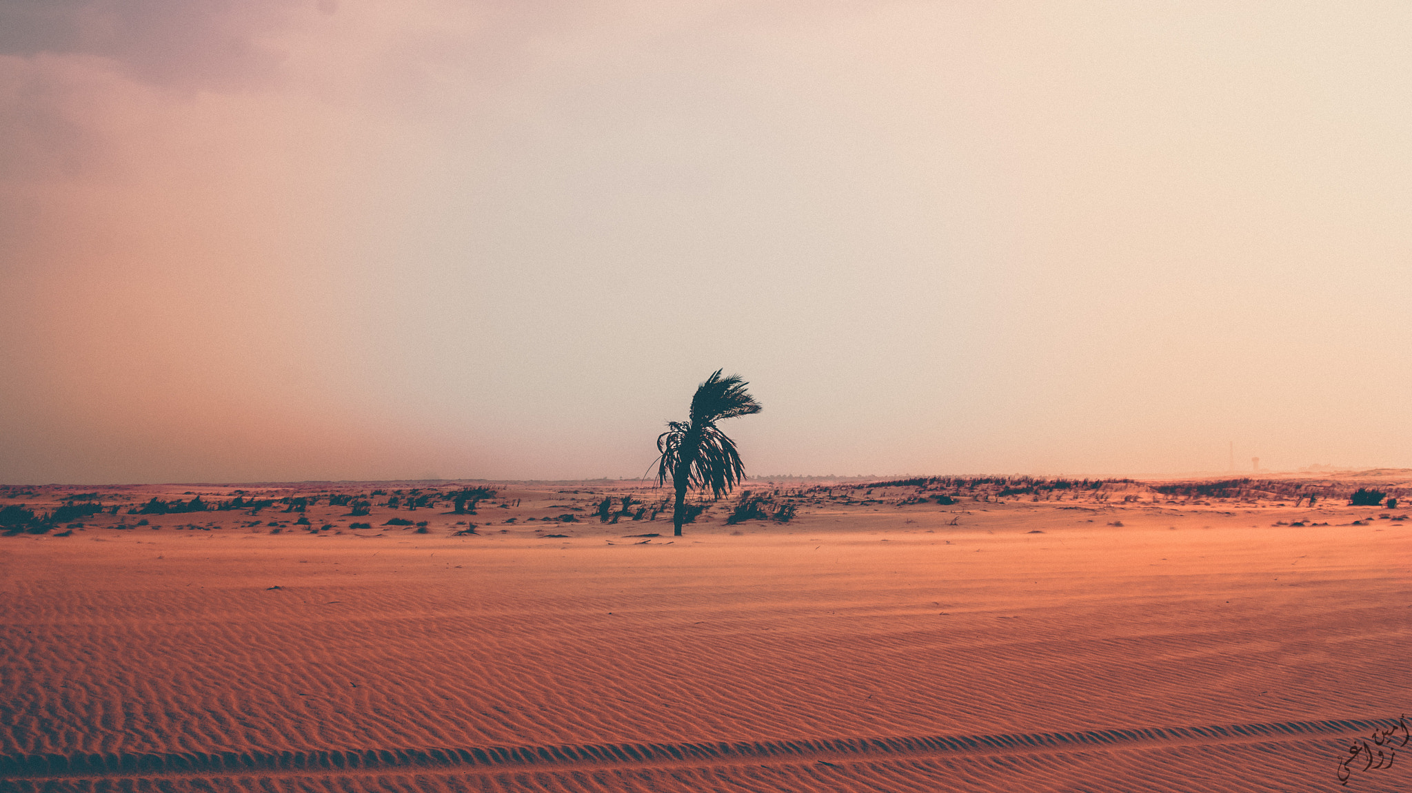 Minolta AF 28-85mm F3.5-4.5 sample photo. Lonely in the desert.. photography