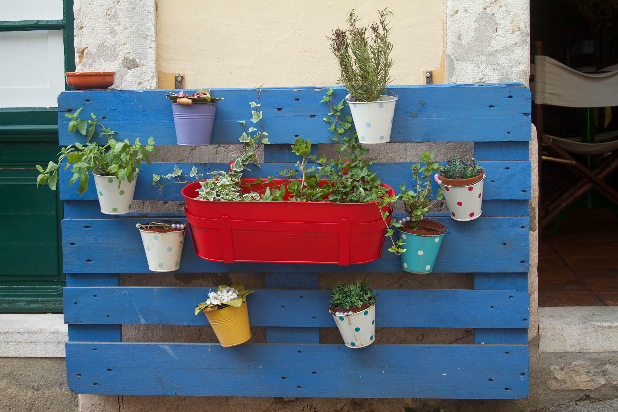 Canon EOS 7D sample photo. Vertical gardening photography