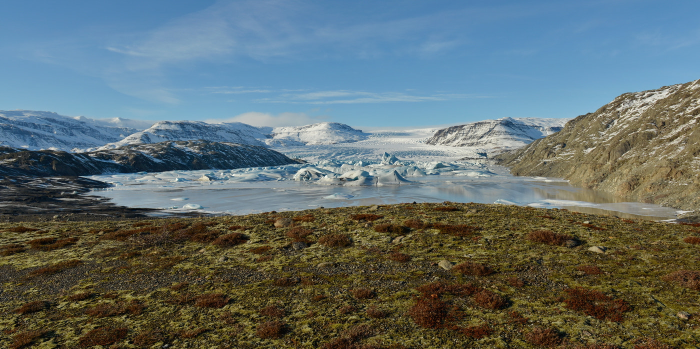 Nikon D800E sample photo. Hoffell glacier photography