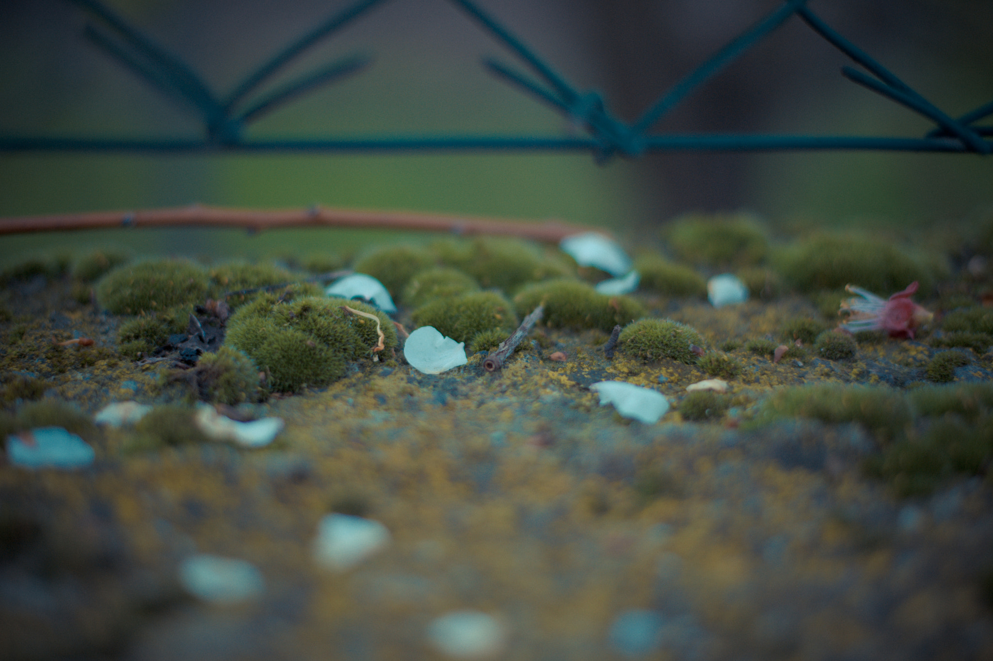 Nikon D3 sample photo
