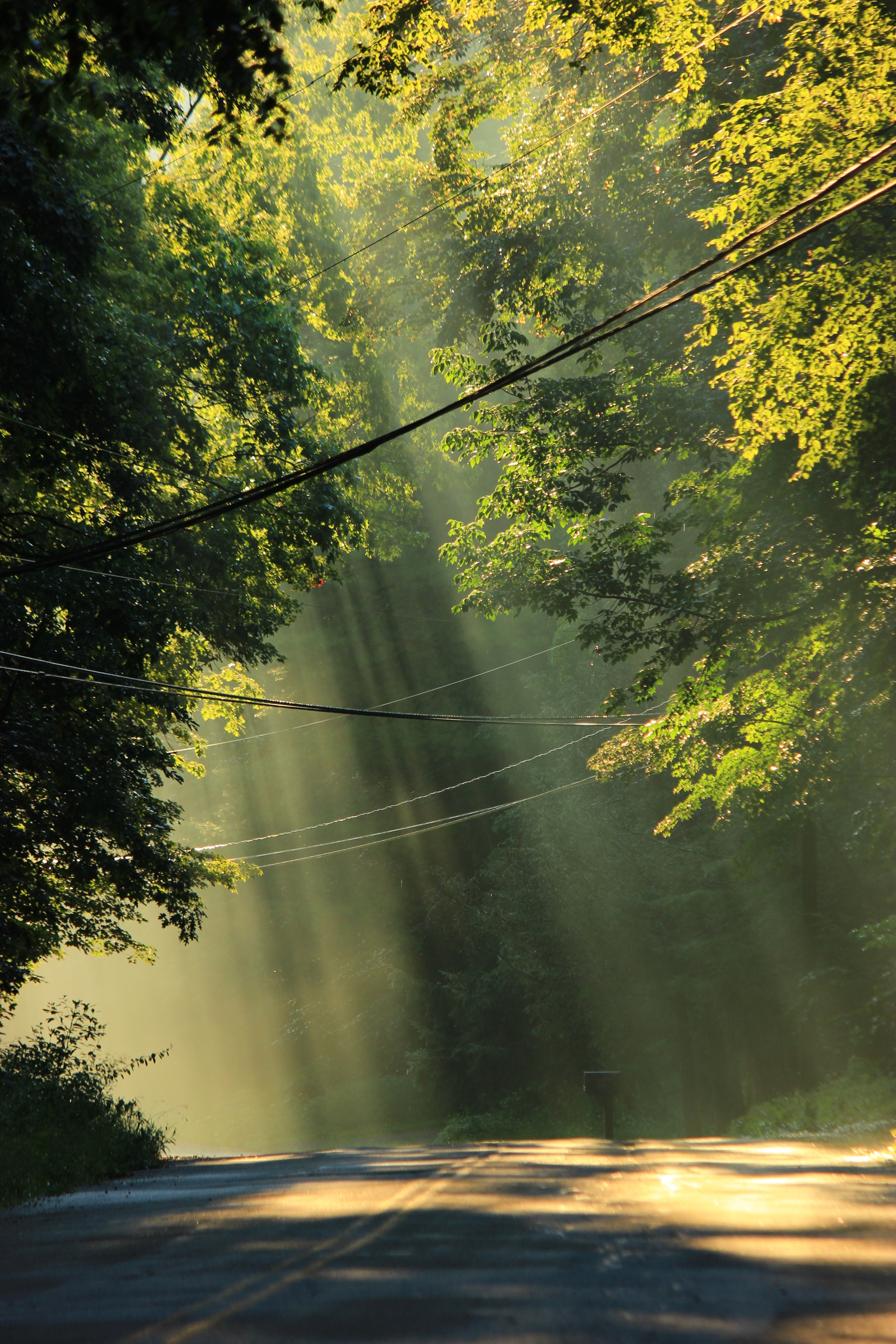 Canon EF 70-300mm F4-5.6 IS USM sample photo. Casting light photography