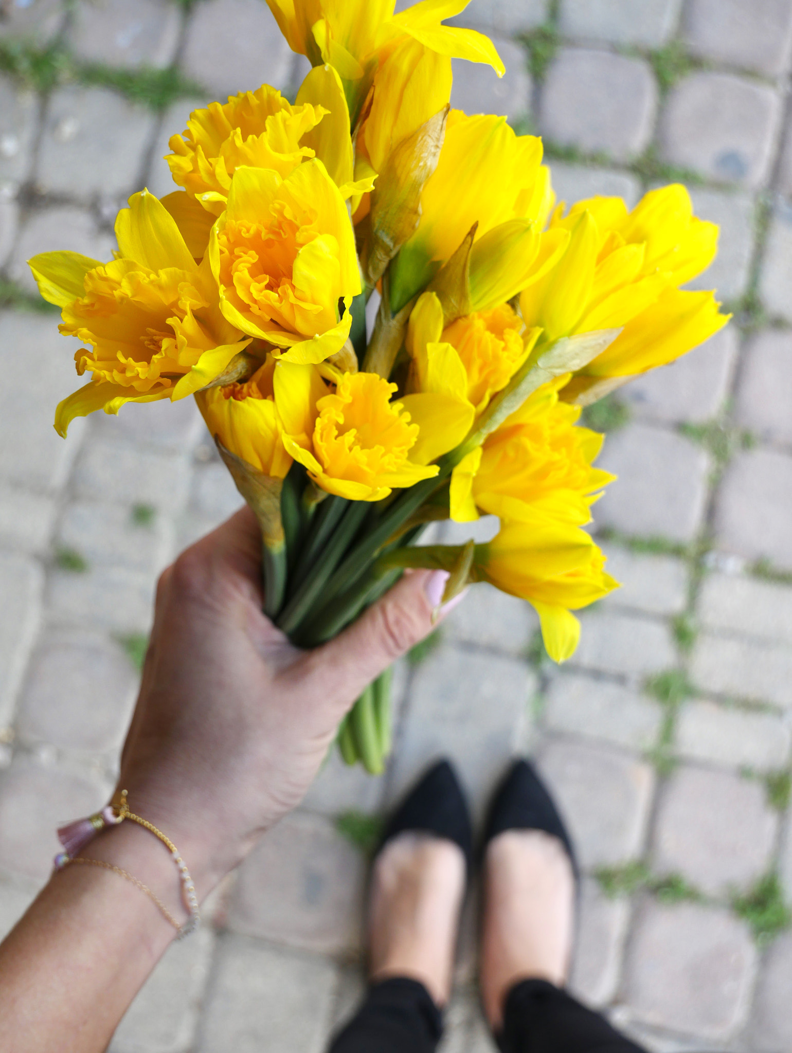 LUMIX G VARIO 12-60/F3.5-5.6 sample photo. Spring flowers photography