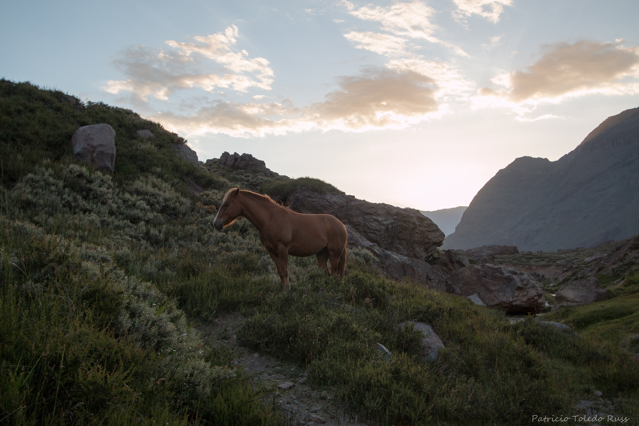 Canon EF-S 10-22mm F3.5-4.5 USM sample photo. Felipe... photography