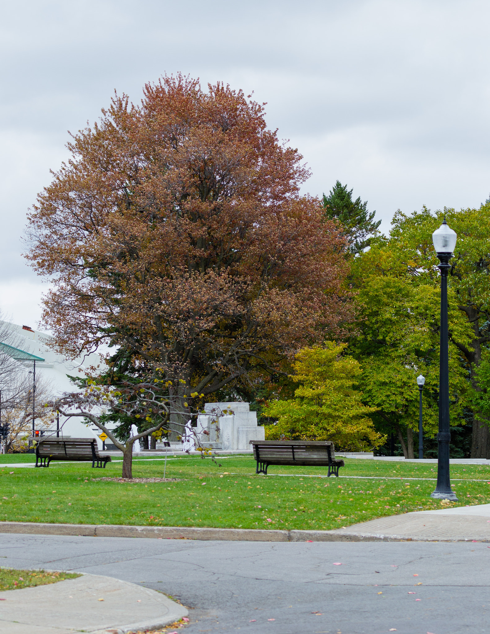 Nikon D3100 sample photo. Jardin à montréal photography