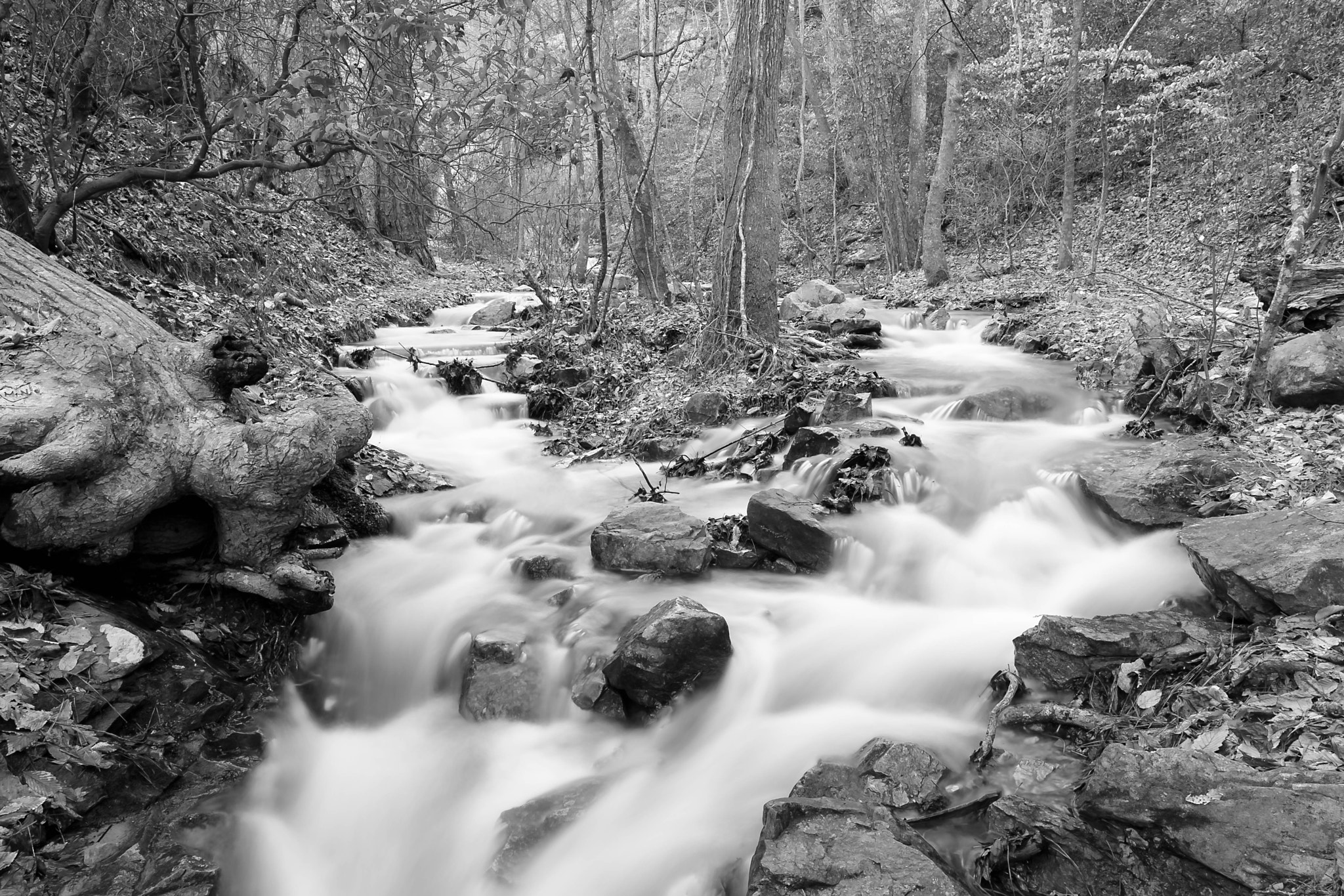 Fujifilm X-T2 sample photo. February 15, 2017-08-edit.jpg photography