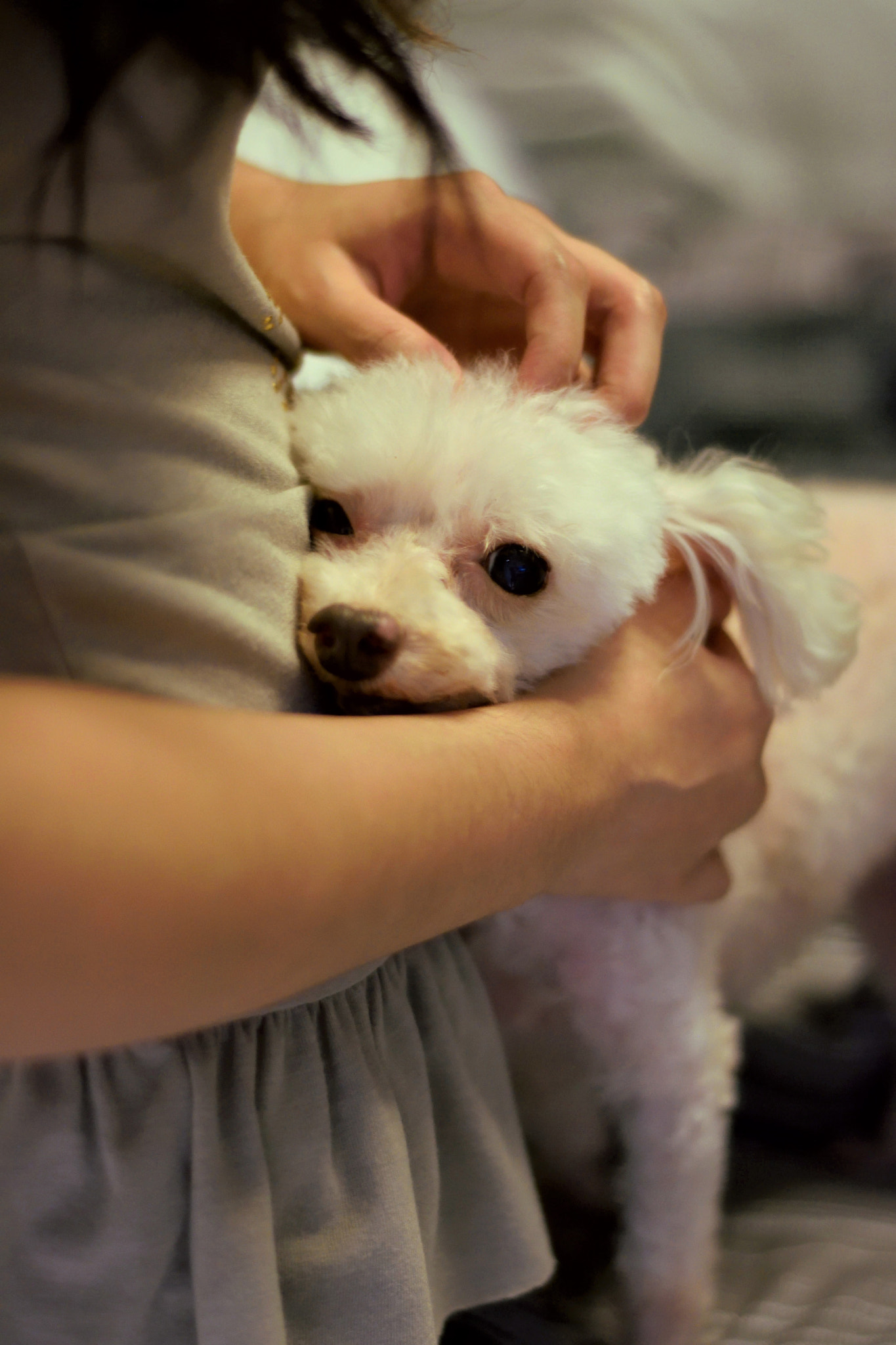 Nikon D3300 + Nikon AF Nikkor 50mm F1.8D sample photo. Lilya e patty photography