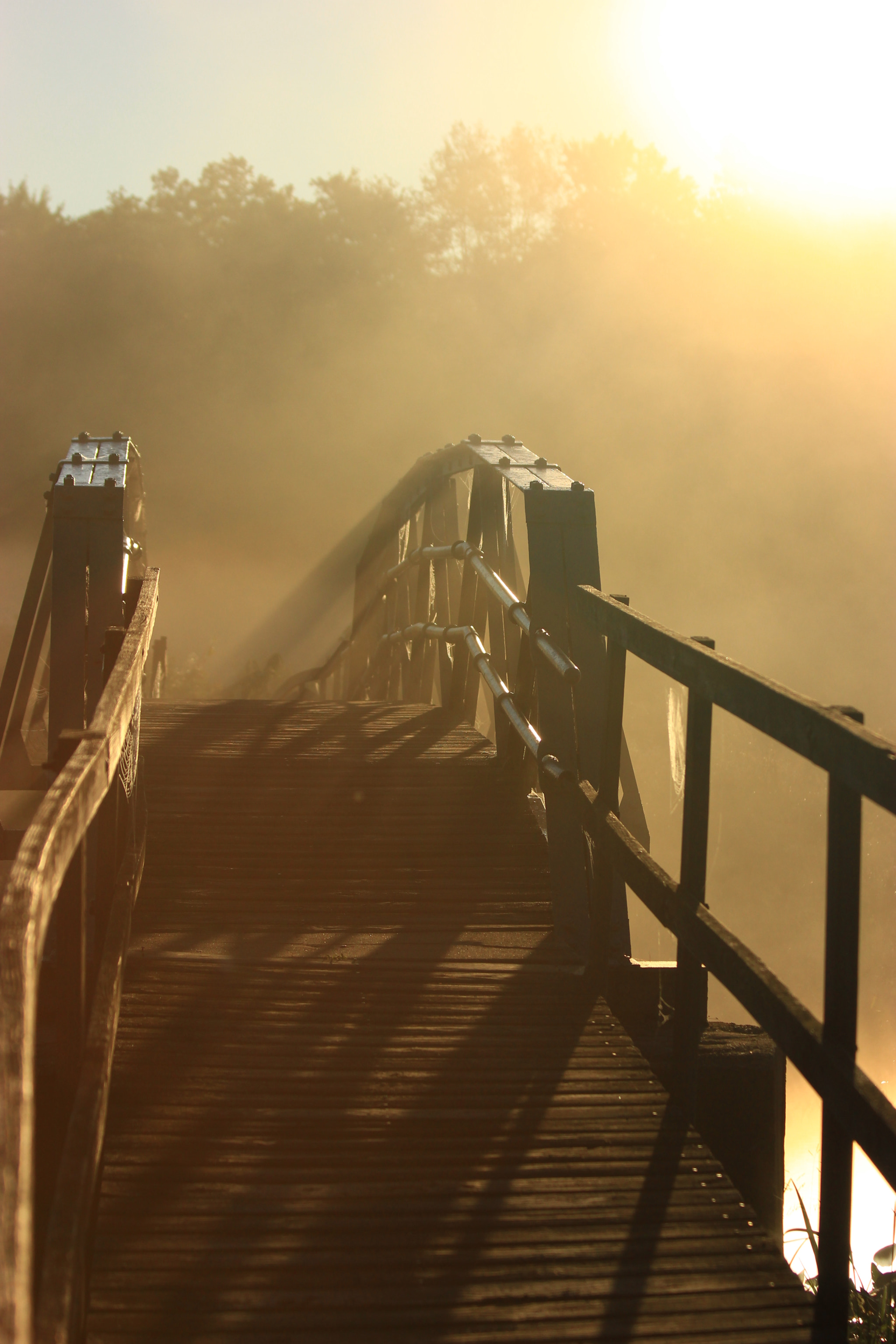 Canon EF 70-300mm F4-5.6 IS USM sample photo. Light on the bridge photography