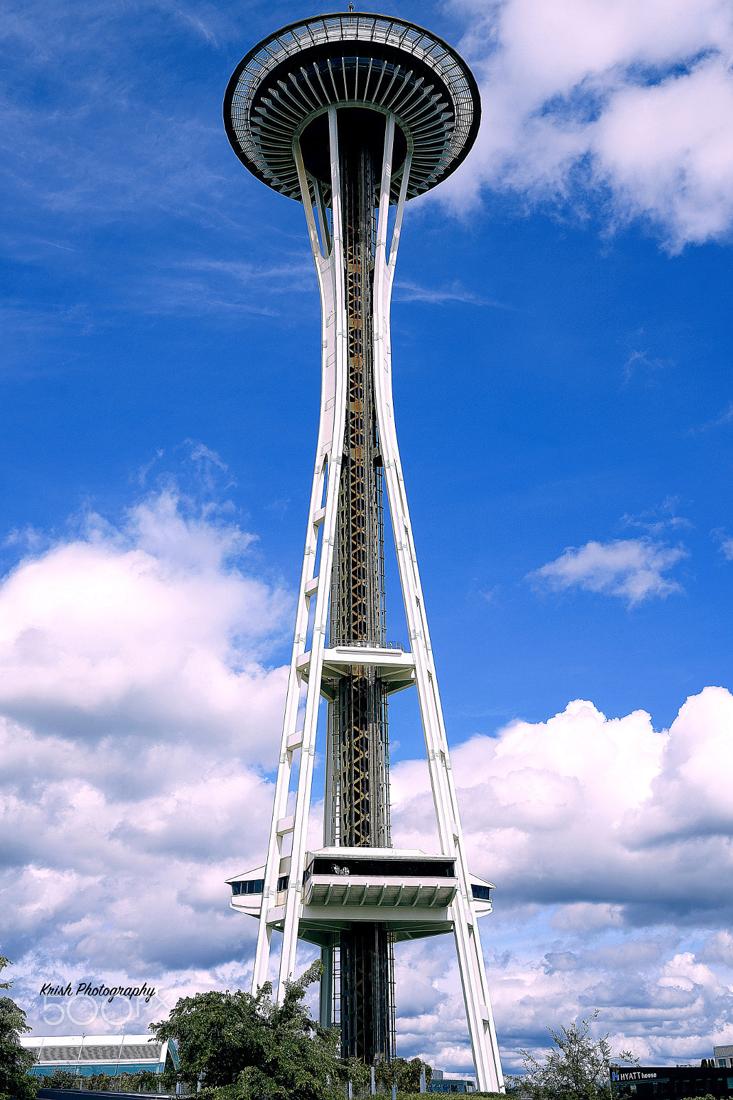 Sony a7R II + Sony Vario Tessar T* FE 24-70mm F4 ZA OSS sample photo. Space needle photography