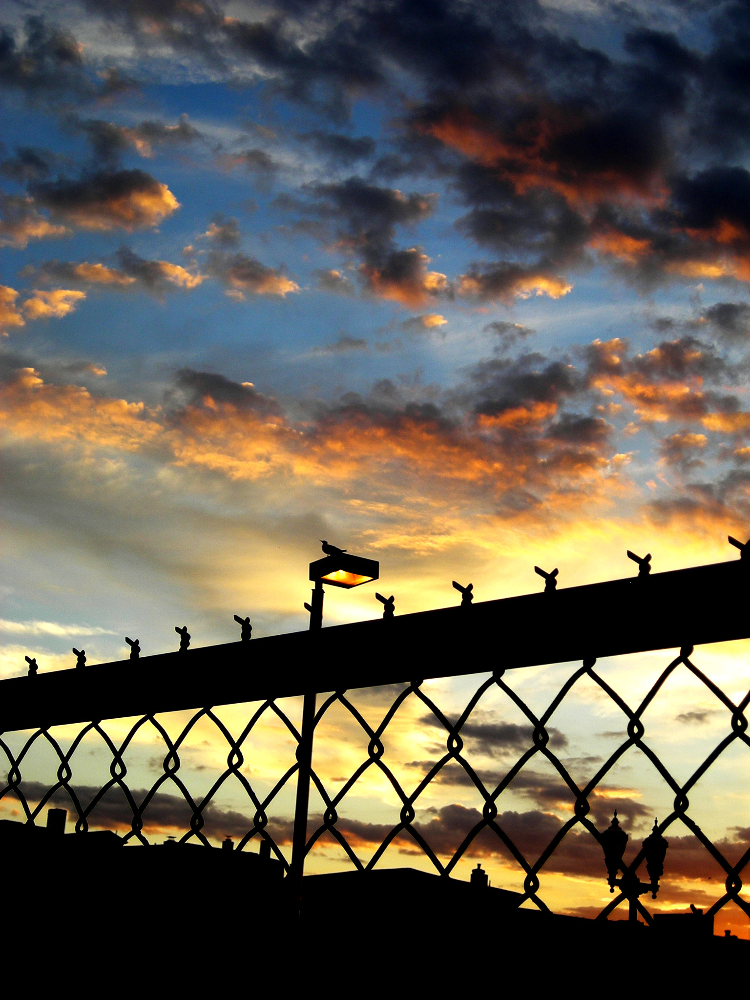 Nikon COOLPIX L6 sample photo. Fence sunset photography