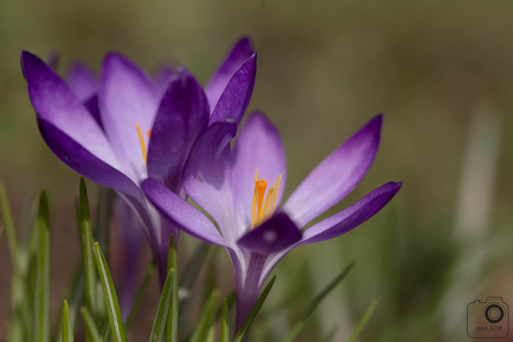 Canon EOS 6D + Sigma 105mm F2.8 EX DG Macro sample photo