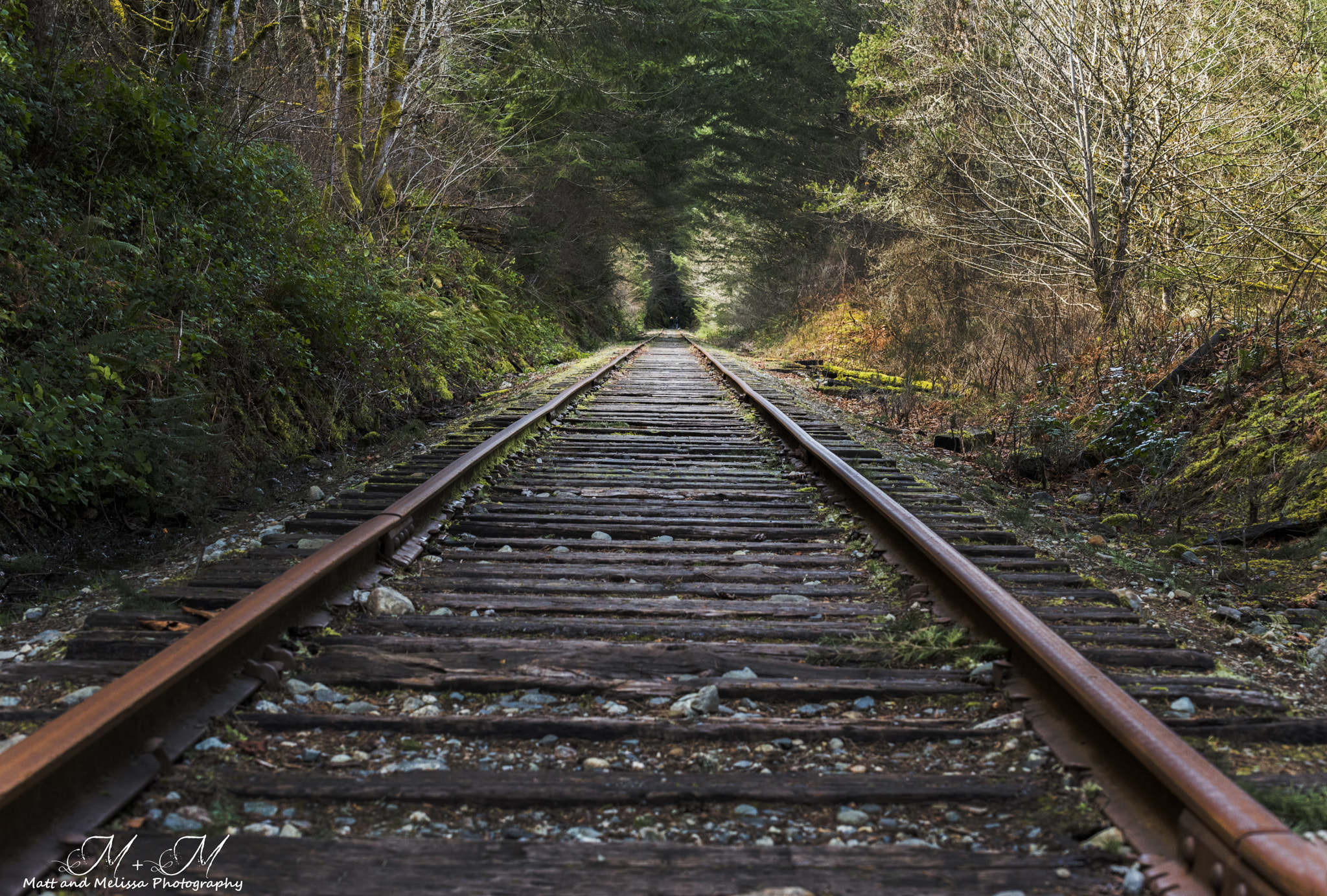 Nikon D800 sample photo. Tracks photography