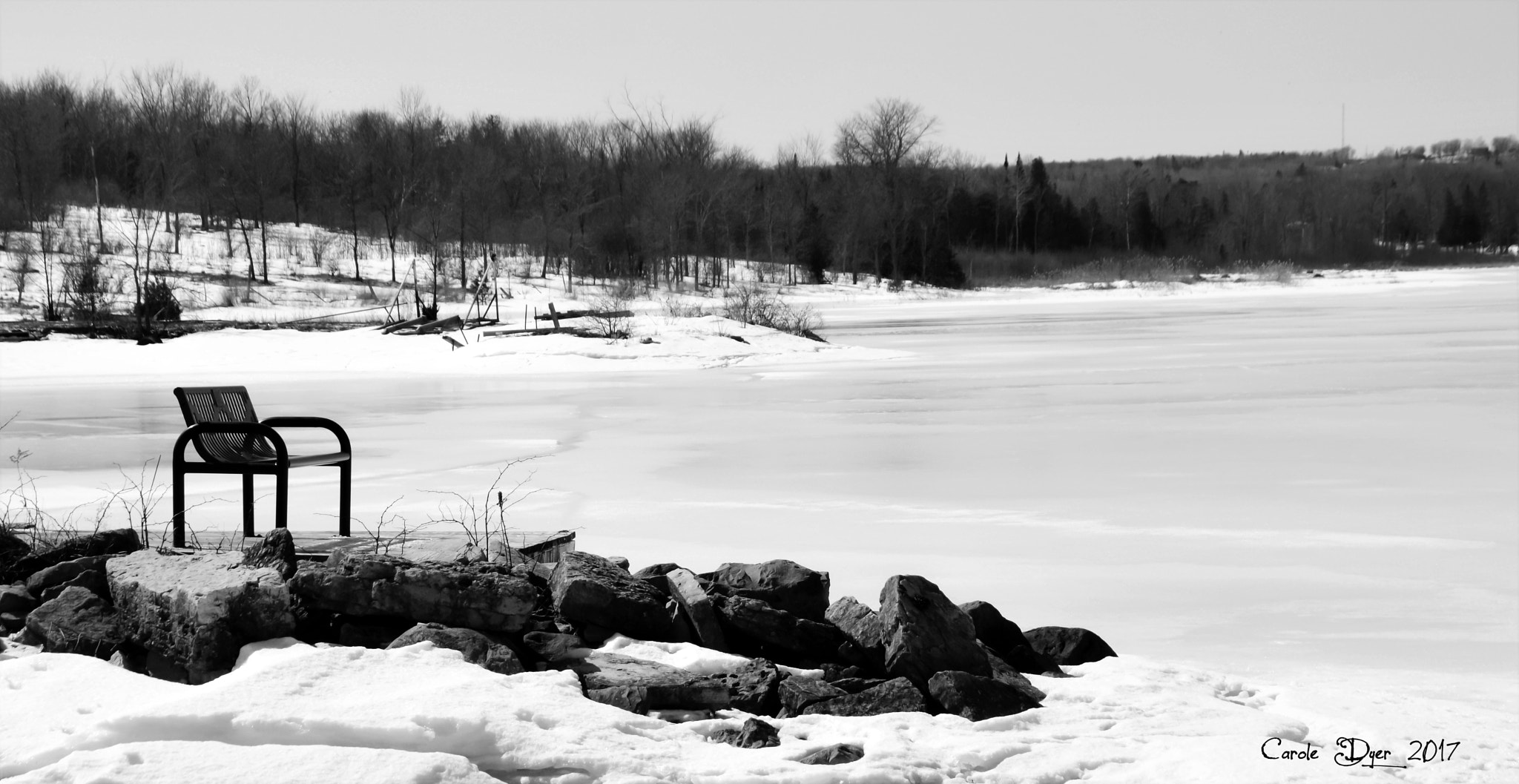 Sigma 18-250mm F3.5-6.3 DC Macro OS HSM sample photo. Waiting for spring..... photography