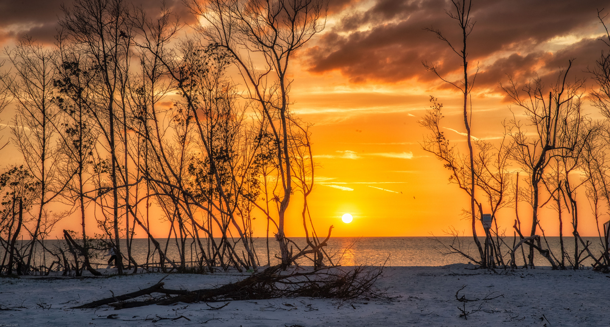 Nikon D600 + Sigma 24-70mm F2.8 EX DG HSM sample photo. Fort desoto sunset photography