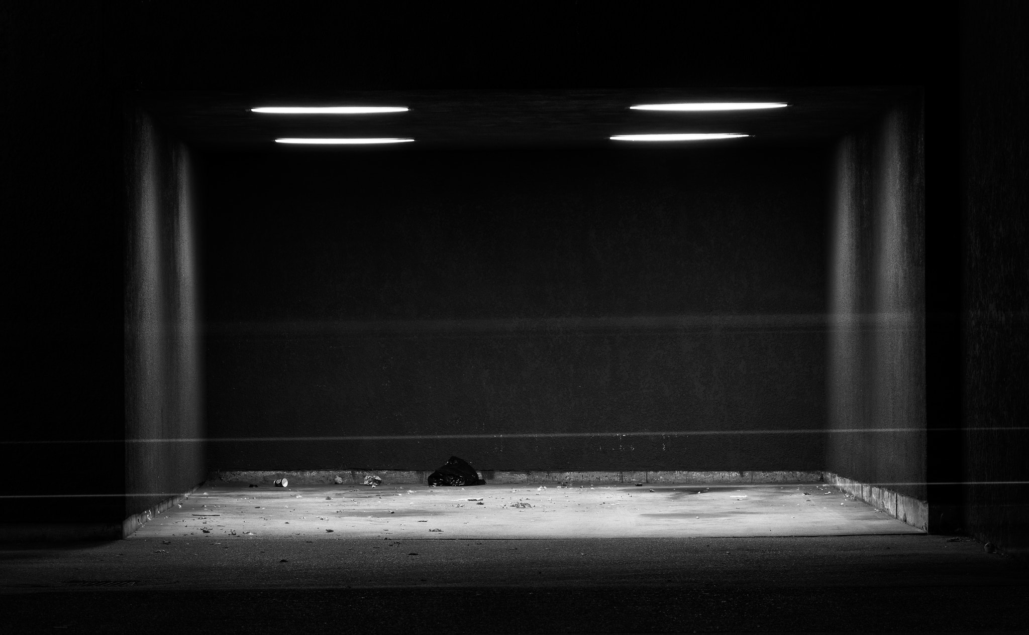 HD Pentax DA 55-300mm F4.0-5.8 ED WR sample photo. East van garage photography