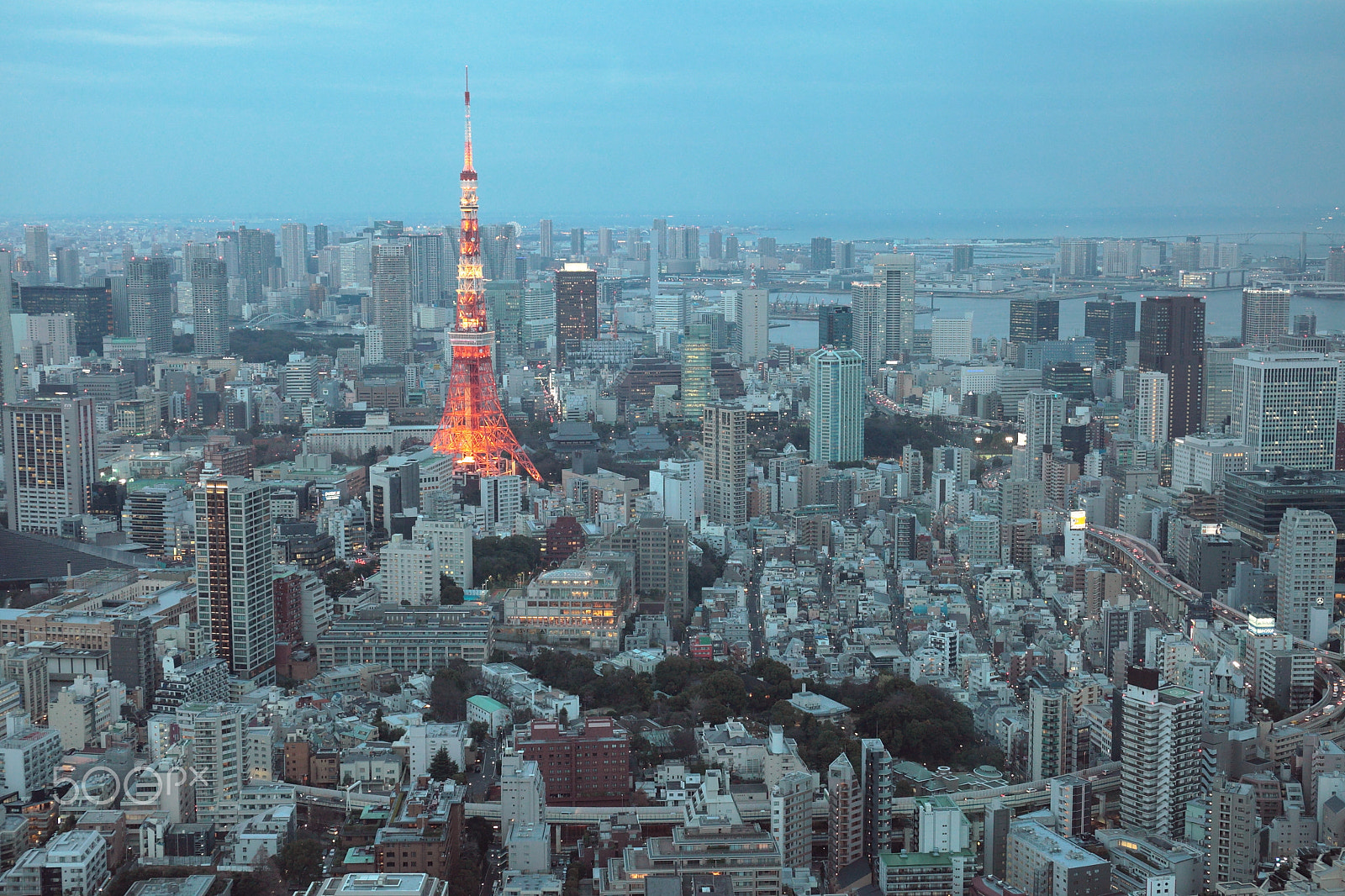 Canon EOS 5D Mark II + Canon EF 24-70mm F4L IS USM sample photo. Tokyo tower photography
