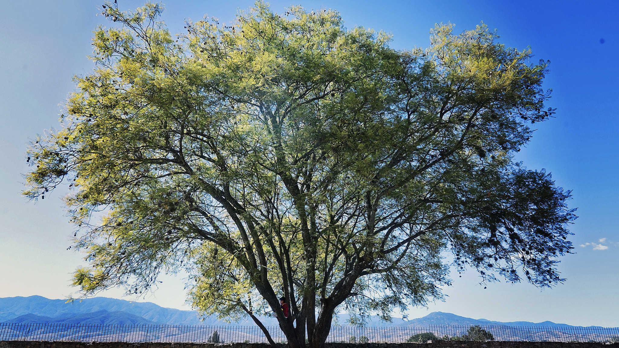 Sony a7S sample photo. A peaceful look at immensity photography