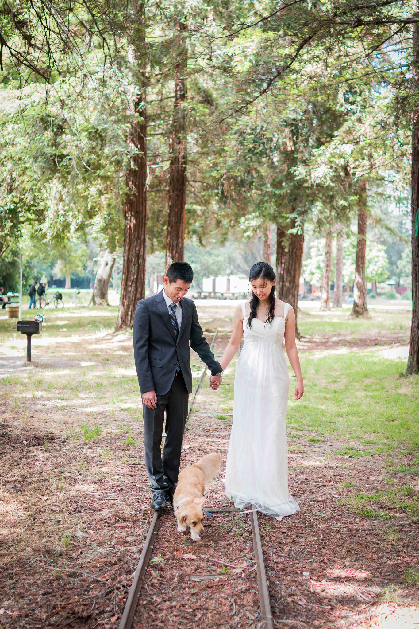 Sigma 30mm F1.4 EX DC HSM sample photo