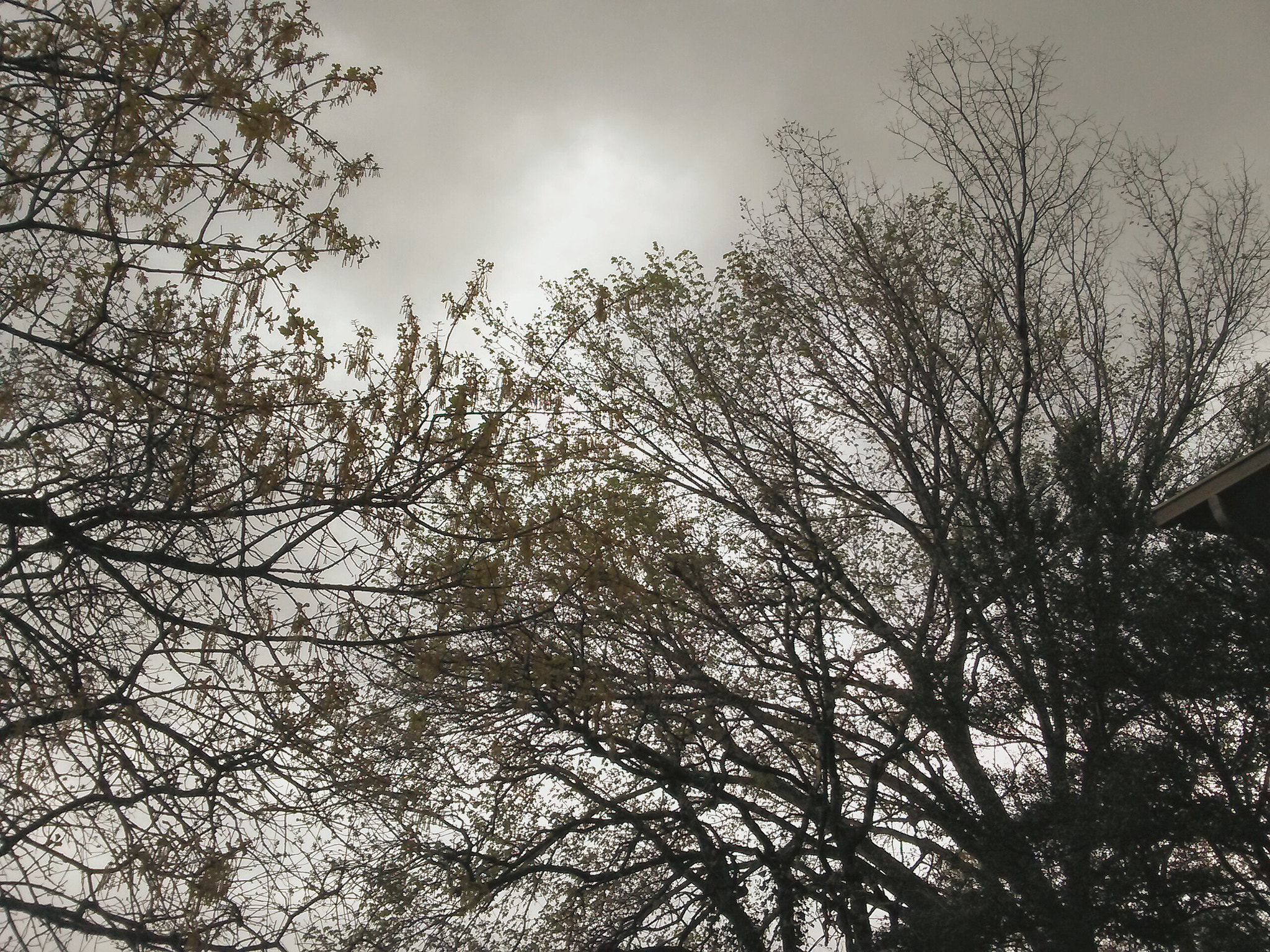 LG K7 sample photo. Gloomy sky photography