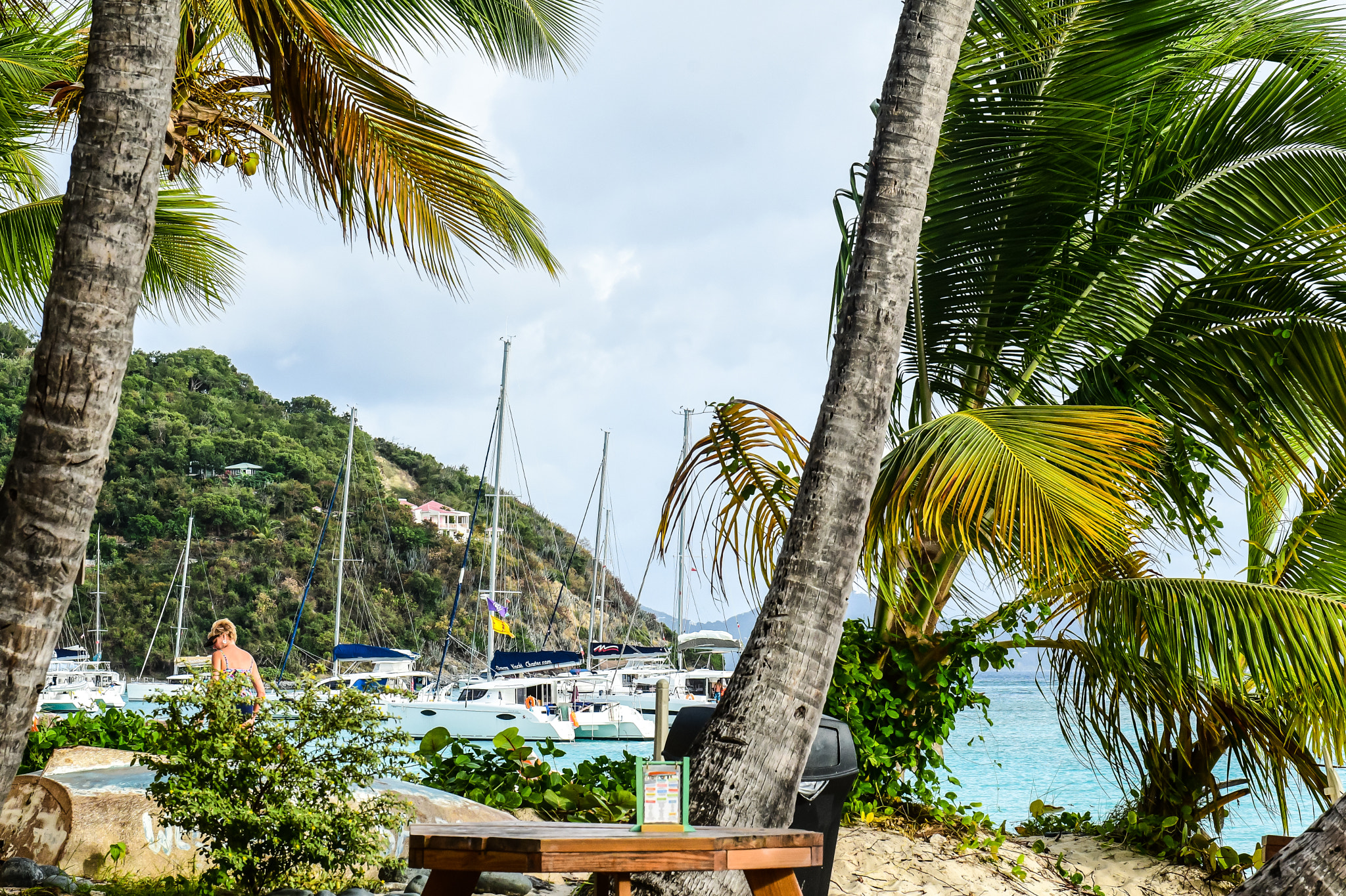 Nikon AF-S Nikkor 24-70mm F2.8G ED sample photo. Virgin island beach photography