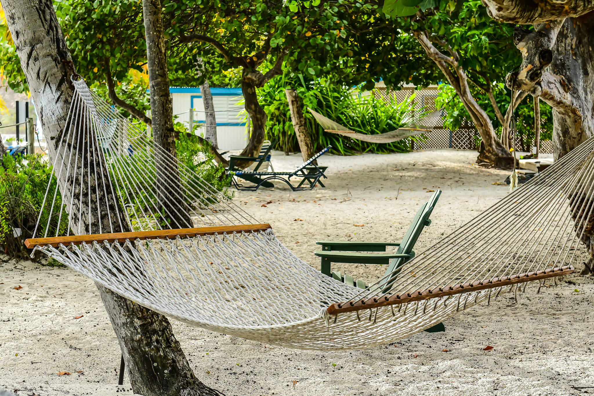 Nikon AF-S Nikkor 24-70mm F2.8G ED sample photo. Virgin island beach photography