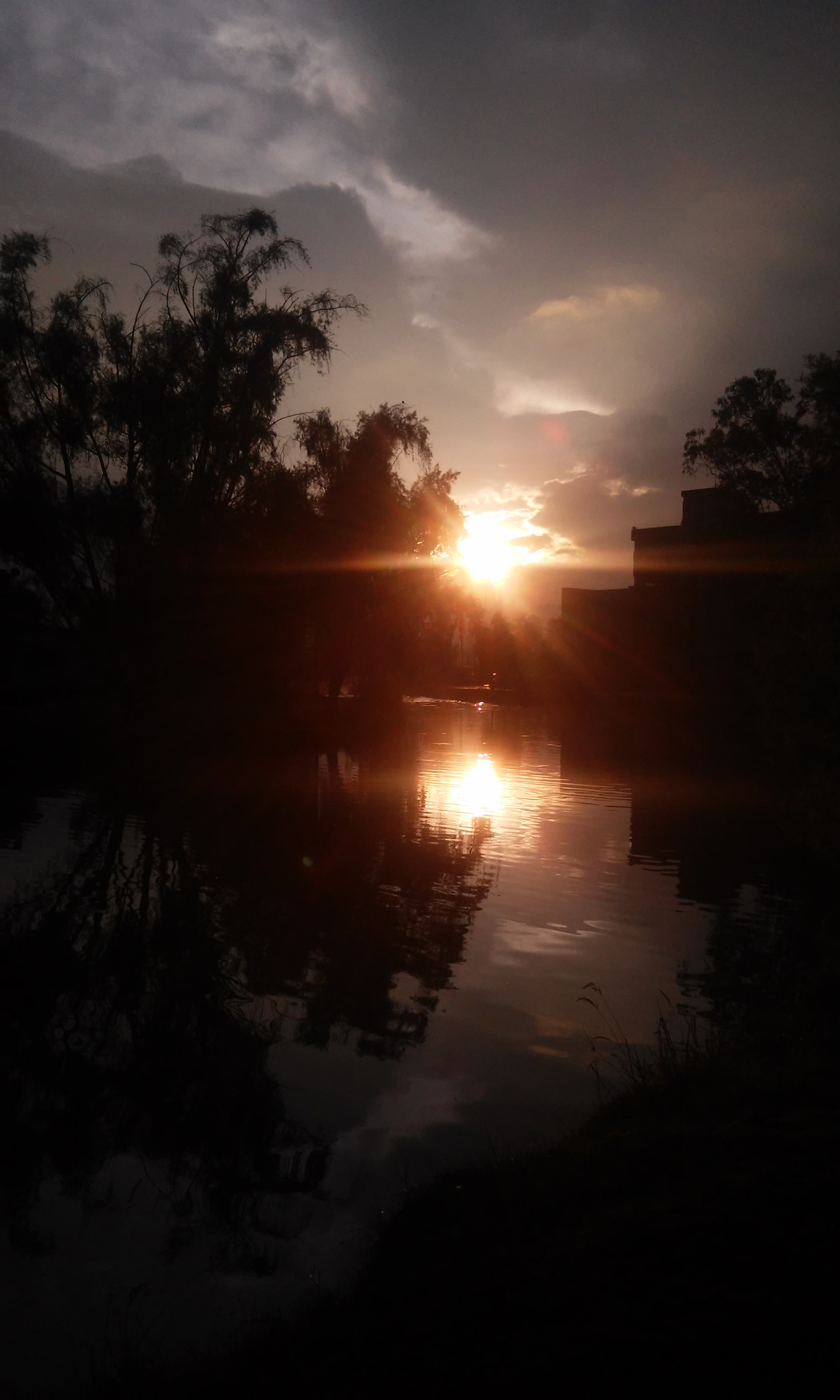 LG L80 SINGLE sample photo. Atardecer u sabana photography