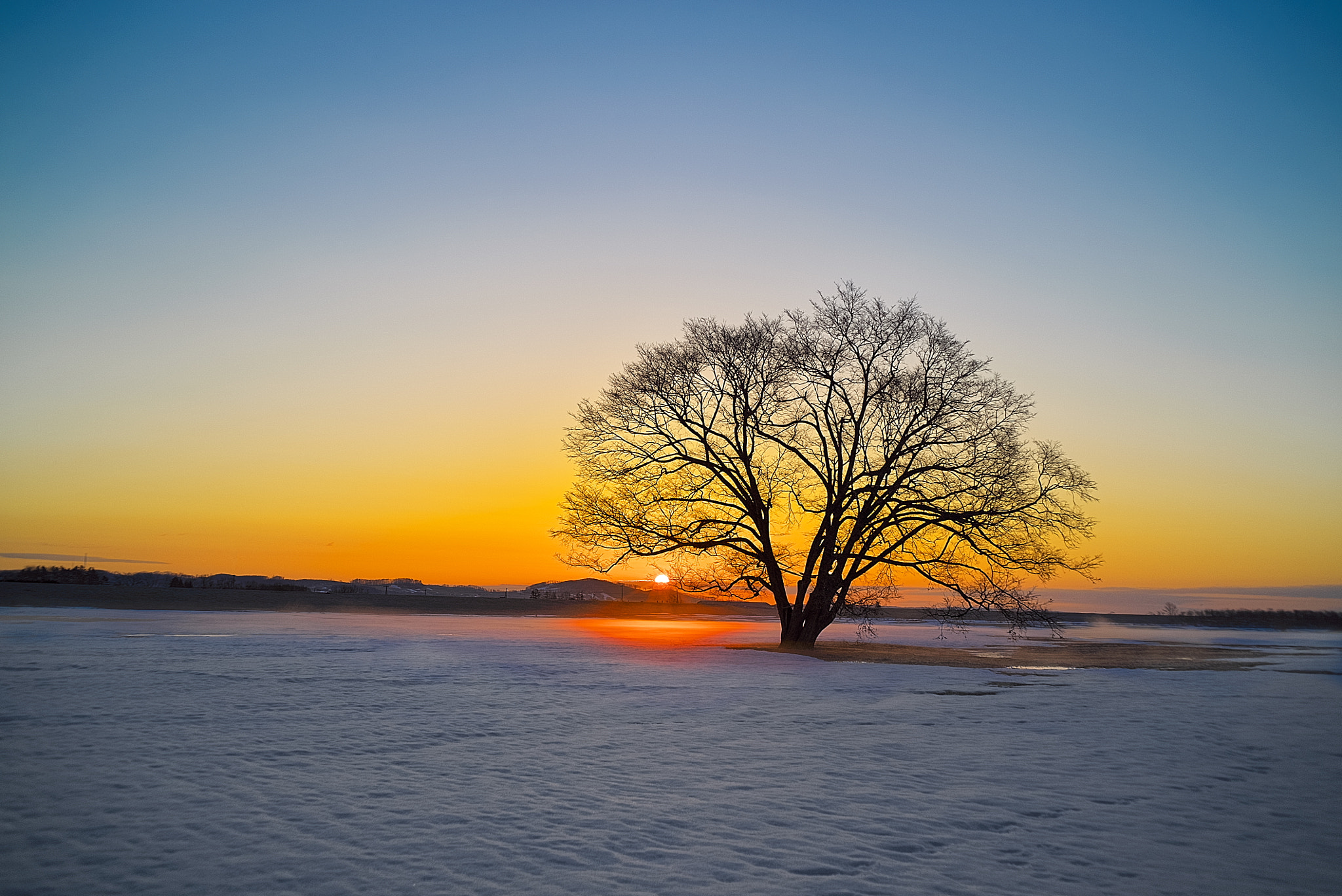 Sony a7S sample photo. Spring will soon be here photography