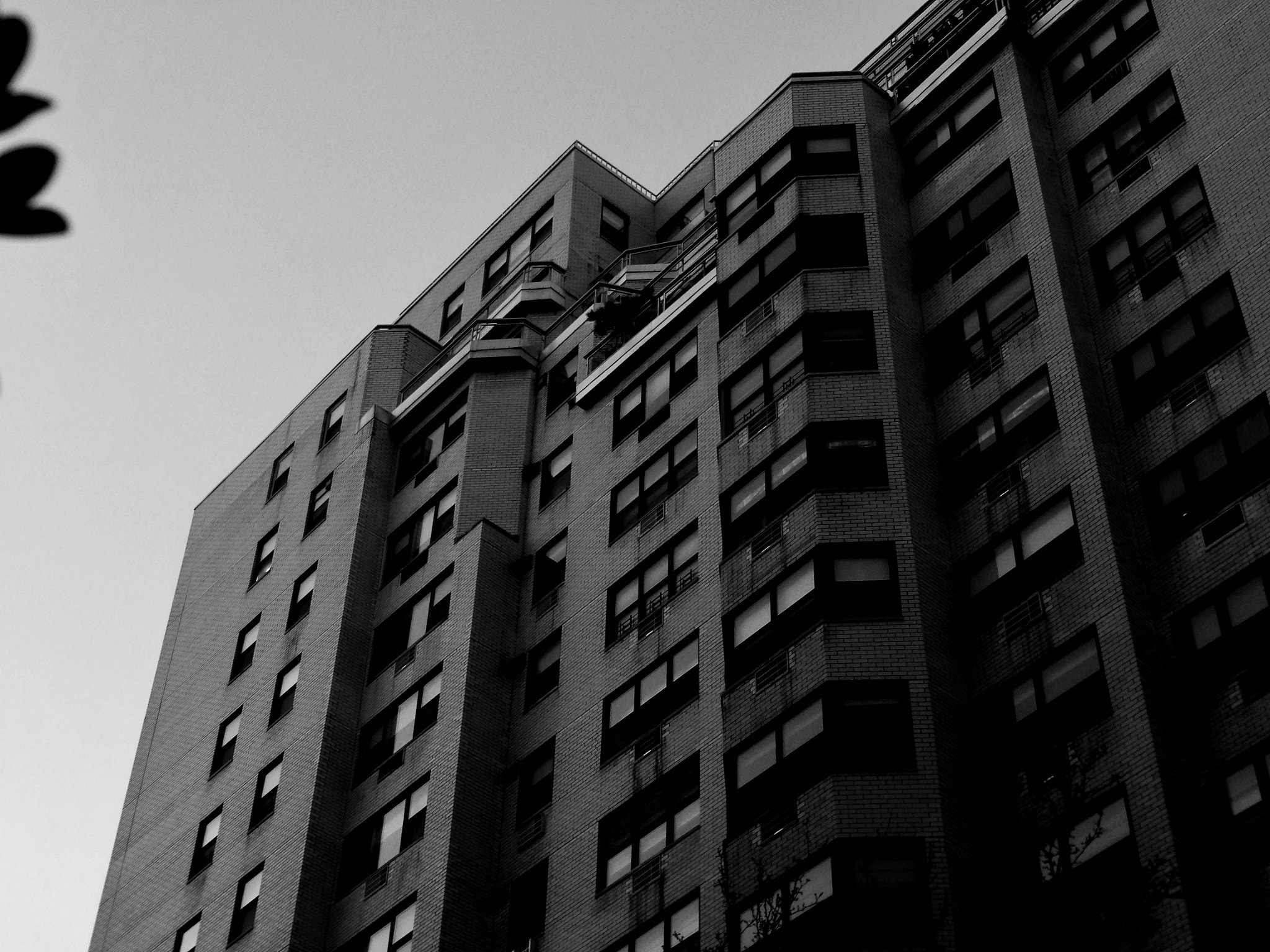 JK KODAK PIXPRO SL10 sample photo