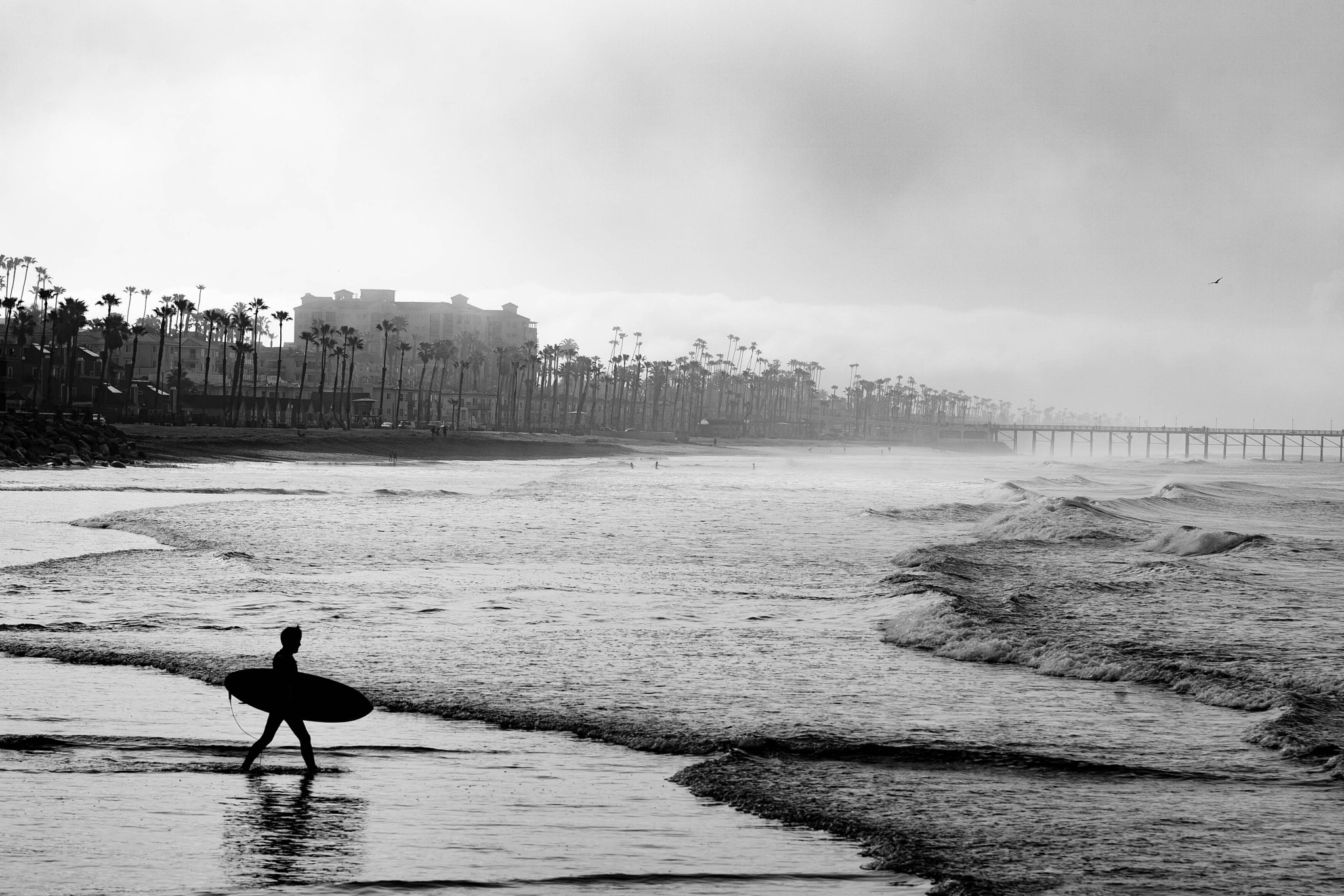 Canon EOS-1D Mark II N + Canon EF 70-200mm F2.8L IS USM sample photo. Oceanside, ca  photography