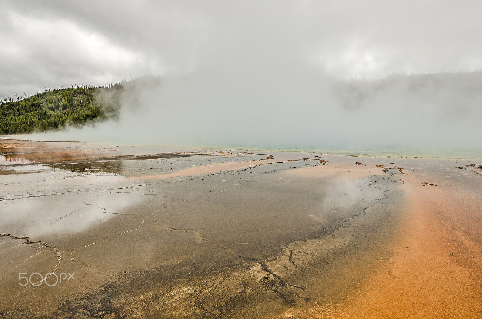 Nikon AF-S Nikkor 14-24mm F2.8G ED sample photo. Continuously changing with the wind photography