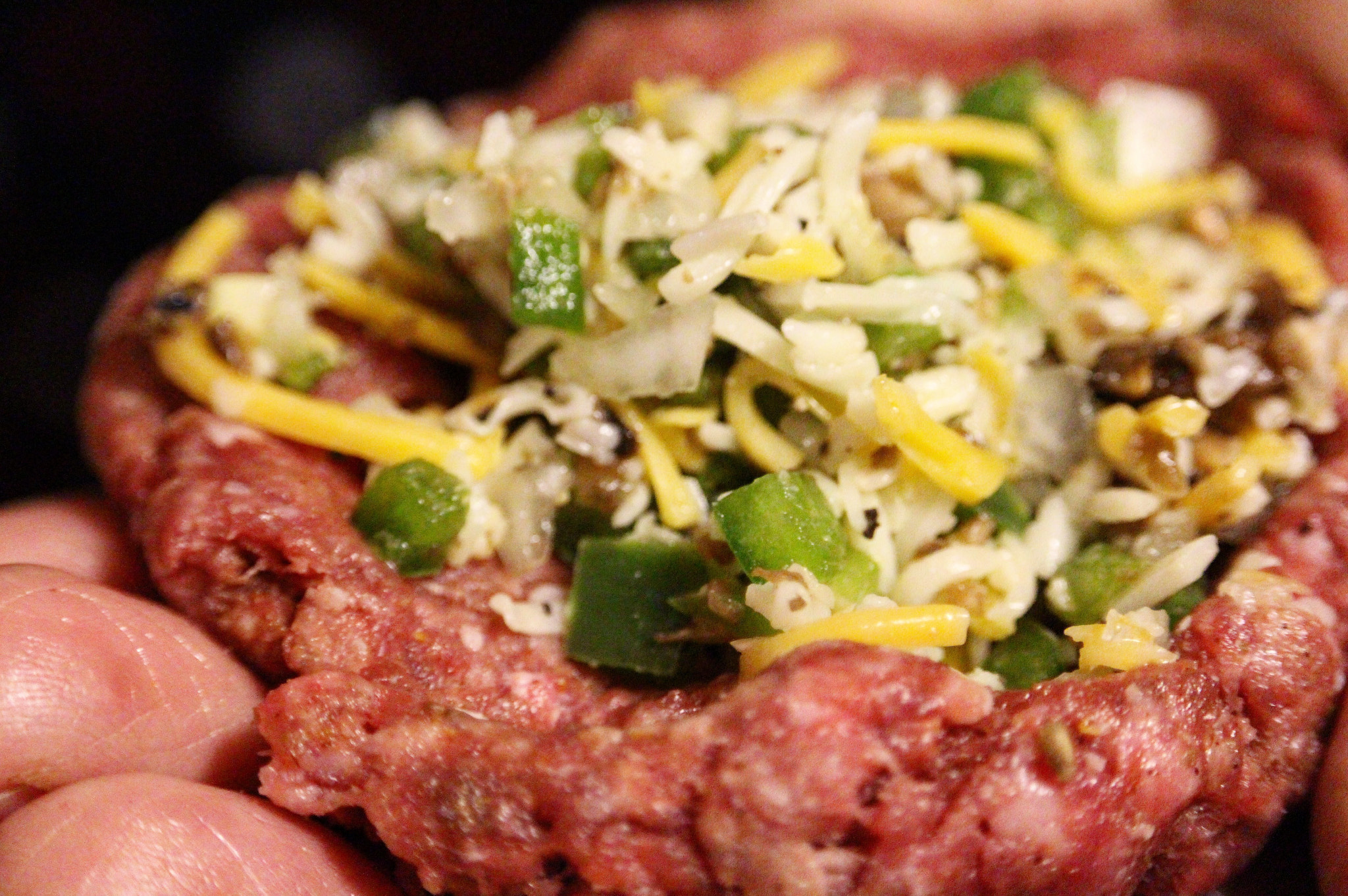 Canon EF-S 55-250mm F4-5.6 IS STM sample photo. Stuffed sliders preparation photography