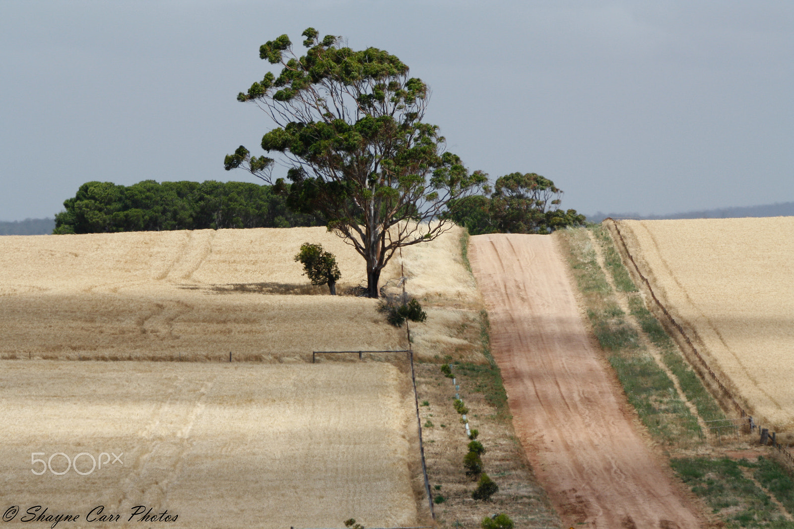 Tamron SP 150-600mm F5-6.3 Di VC USD sample photo. Big country photography