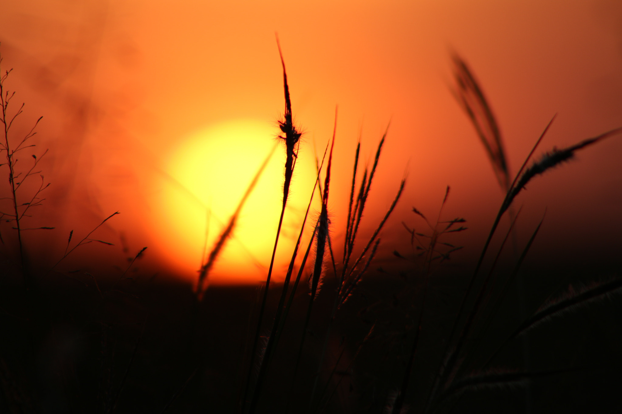 Canon EF 75-300mm f/4-5.6 USM sample photo. Sunset photography