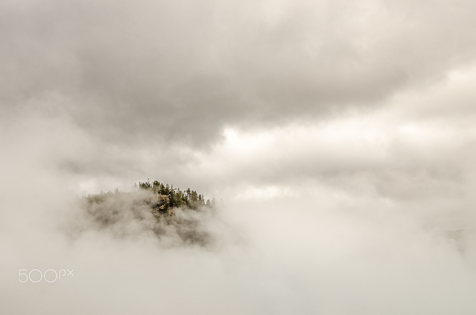 Nikon D7000 + Nikon AF-S Nikkor 14-24mm F2.8G ED sample photo. Trees and rocks peeking through clouds and fog photography