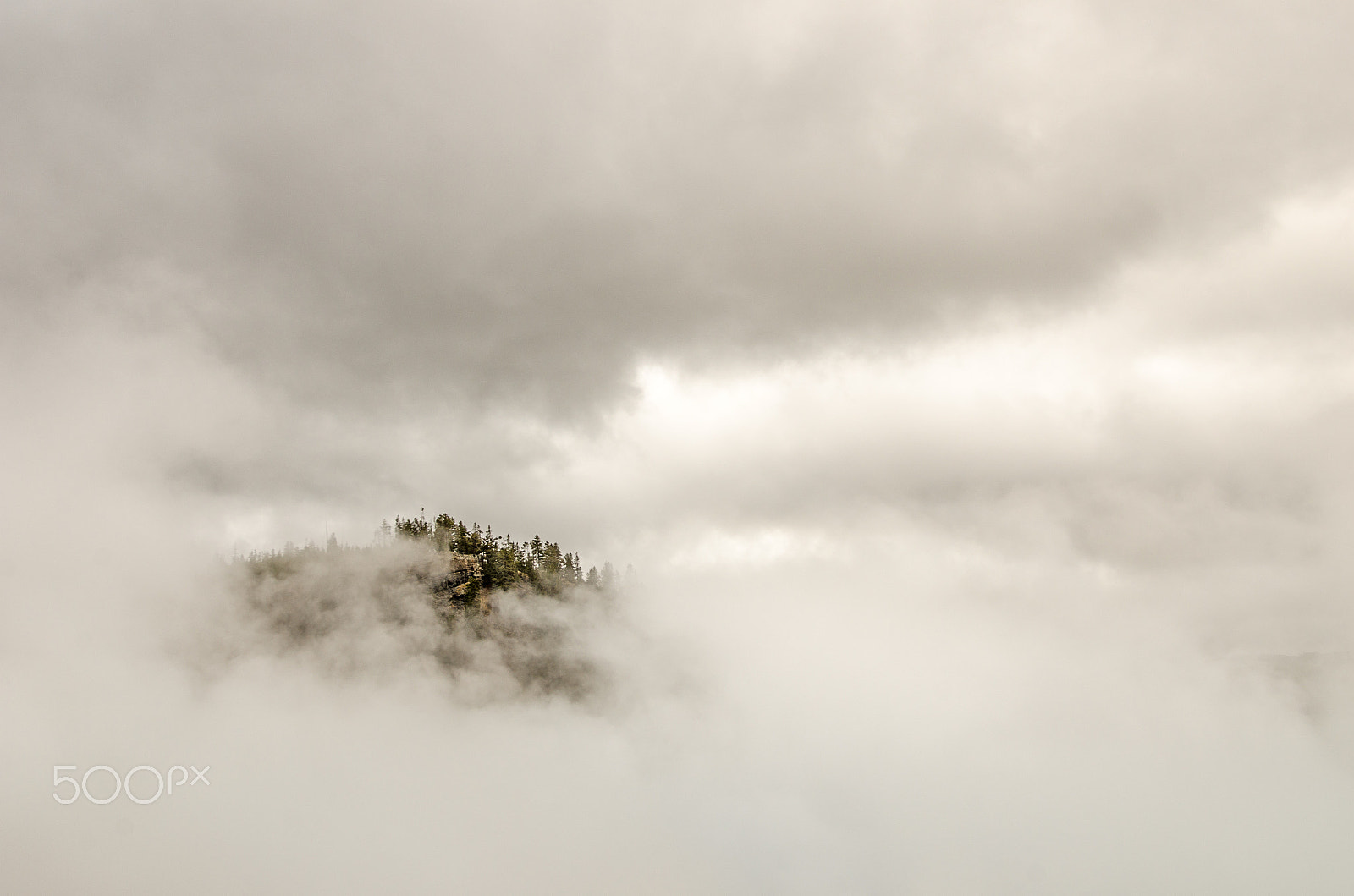 Nikon AF-S Nikkor 14-24mm F2.8G ED sample photo. Trees and rocks peeking through clouds and fog photography