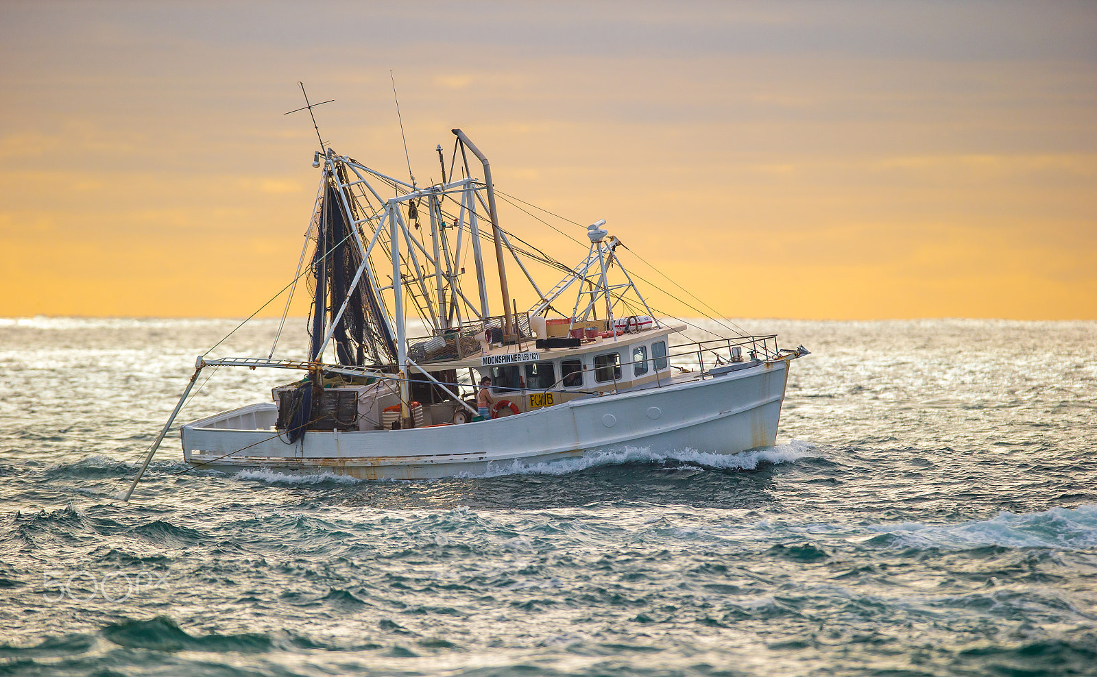 Canon EOS-1D X sample photo. Good morning australia photography