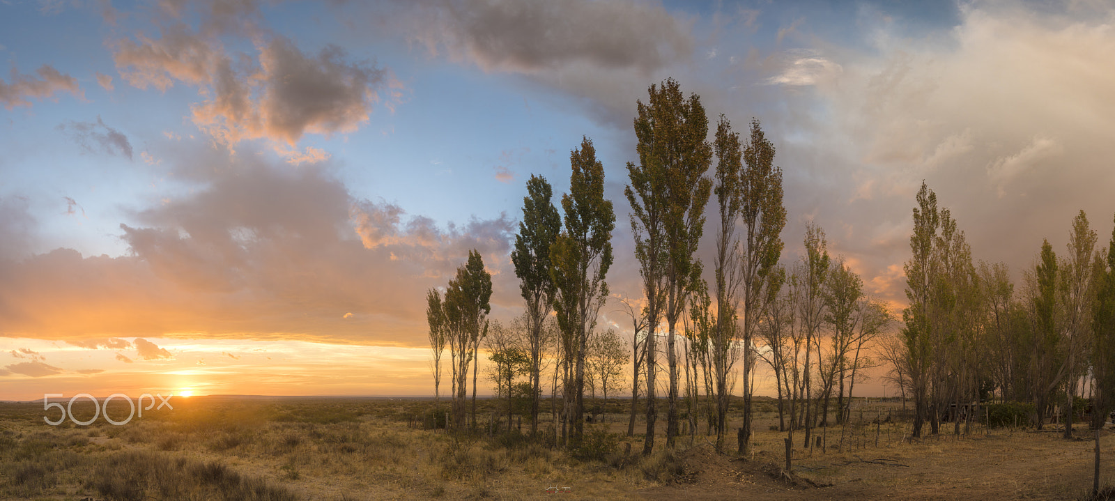 Nikon AF-S Nikkor 16-35mm F4G ED VR sample photo. Atardecer en los Álamos photography
