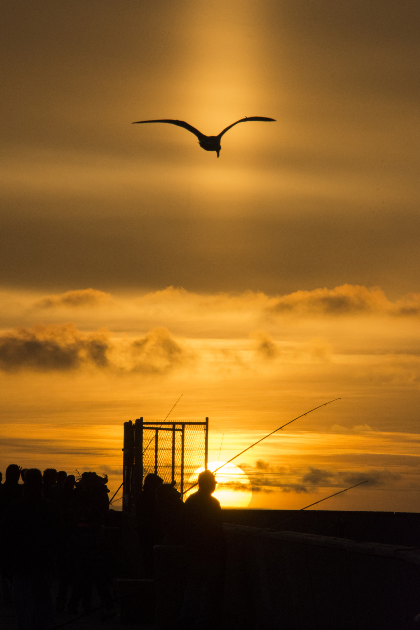Nikon D7200 sample photo. Pacifica pier sunset photography