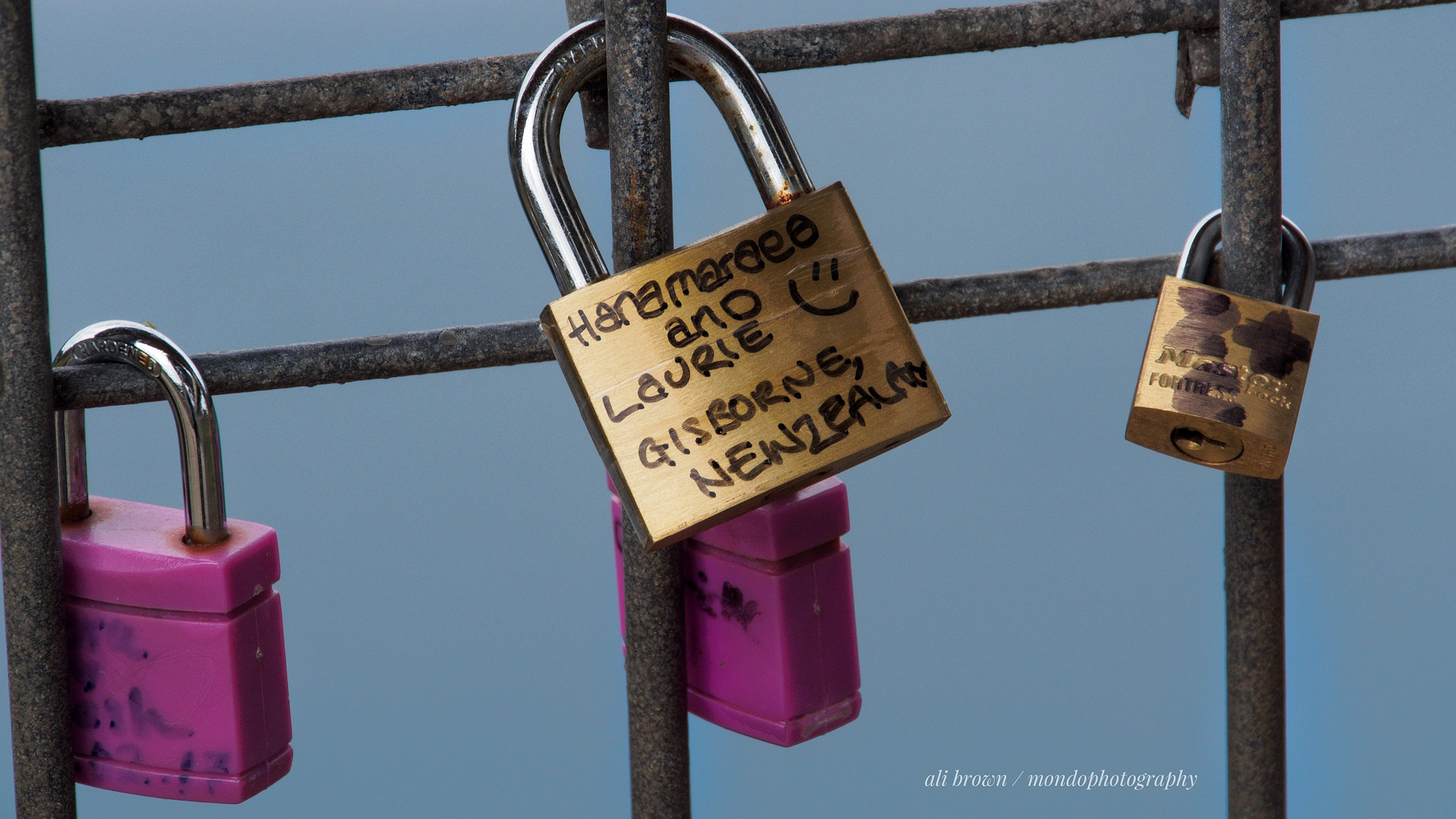 Olympus OM-D E-M5 sample photo. Locks of the heart photography