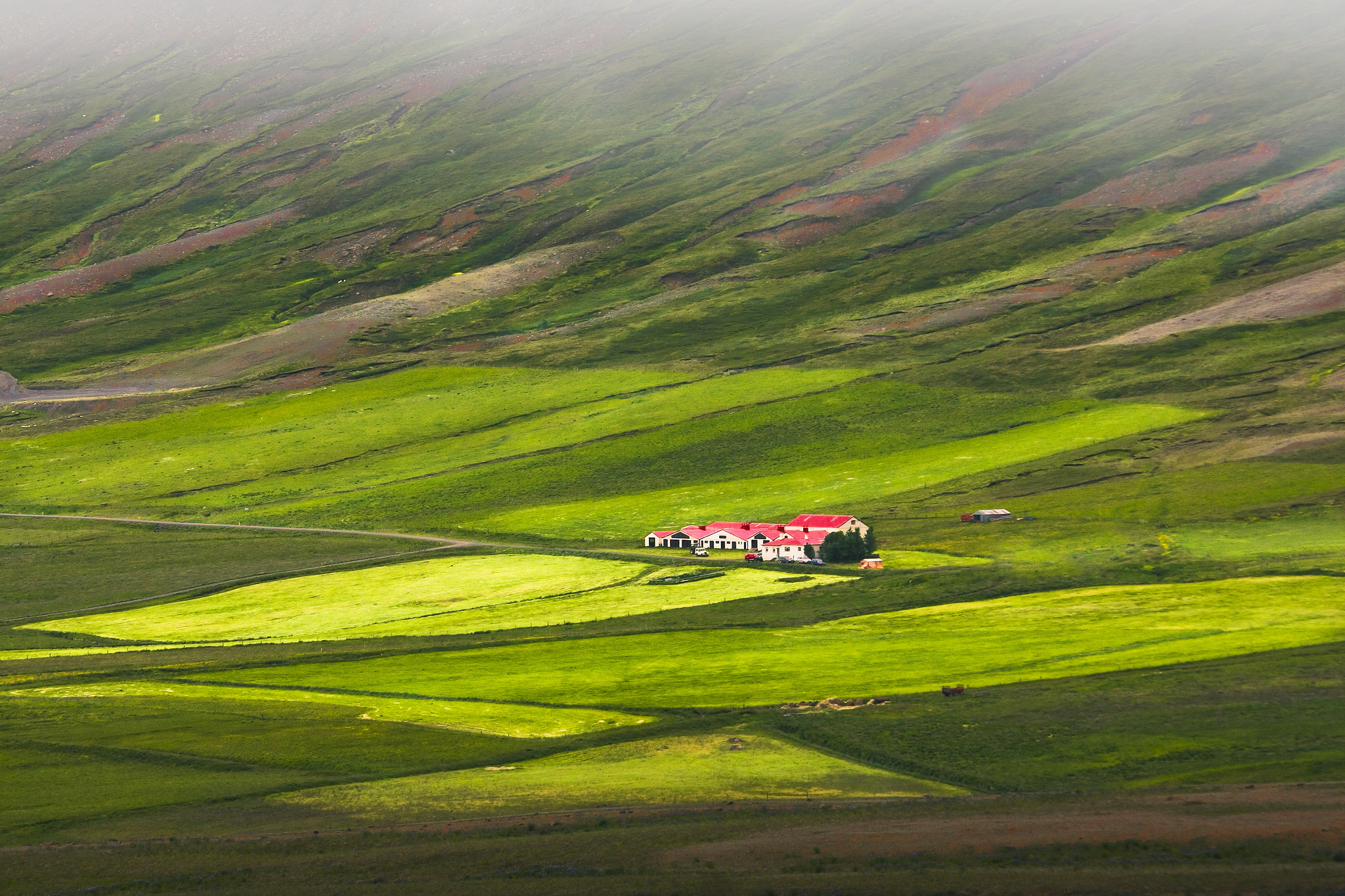 Canon EOS 40D sample photo. Little farm photography